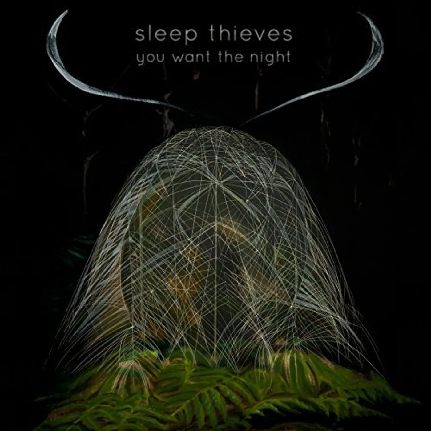 Sleep Thieves You Want the Night Vinyl Record