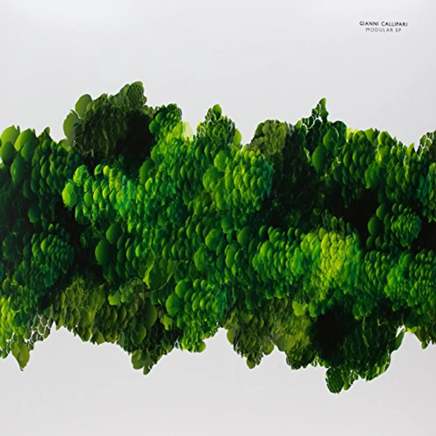 Gianni Callipari Modular Vinyl Record