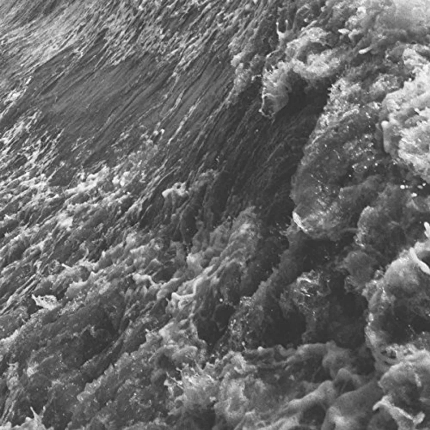 Douglas Dare CAROLINE / IF ONLY Vinyl Record