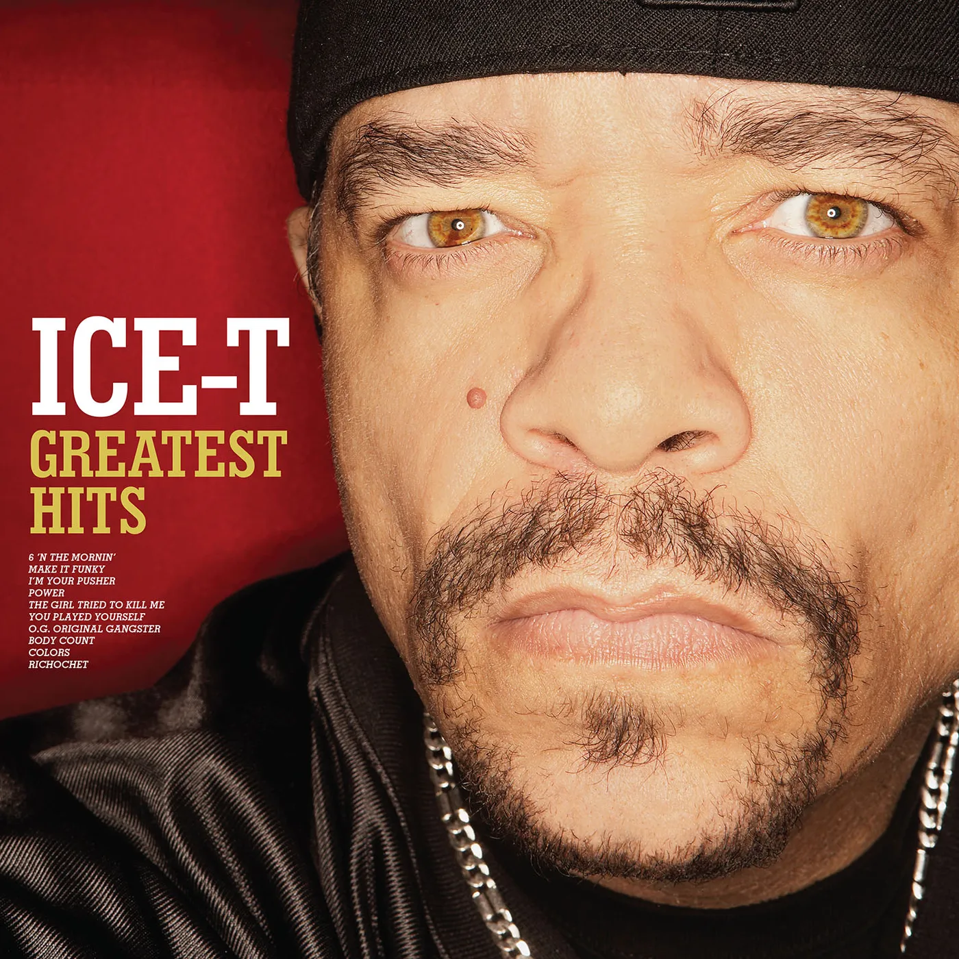ICE-T GREATEST HITS CD