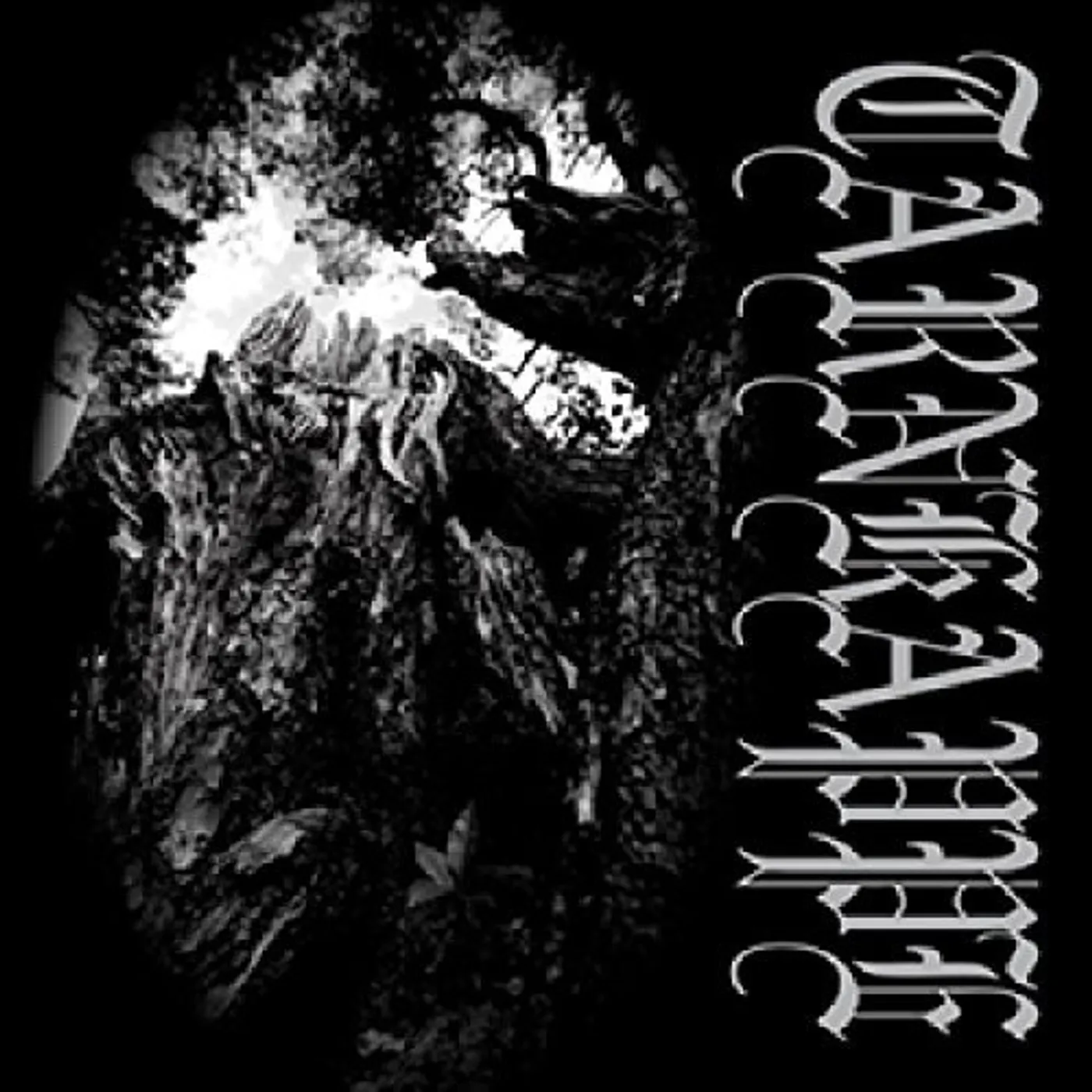 Tarnkappe TUSSEN HUN EN DE ZON CD