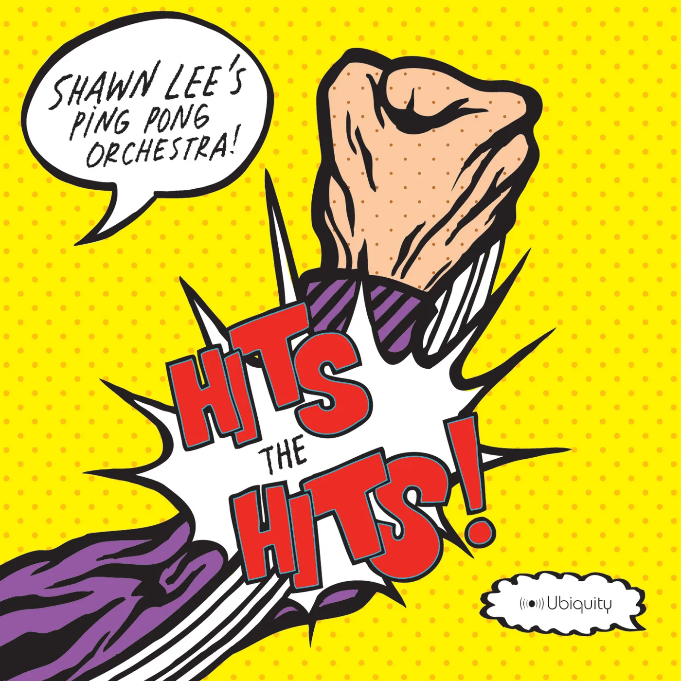 Shawn Lee's Ping Pong Orchestra Hits The Hits Vinyl Record