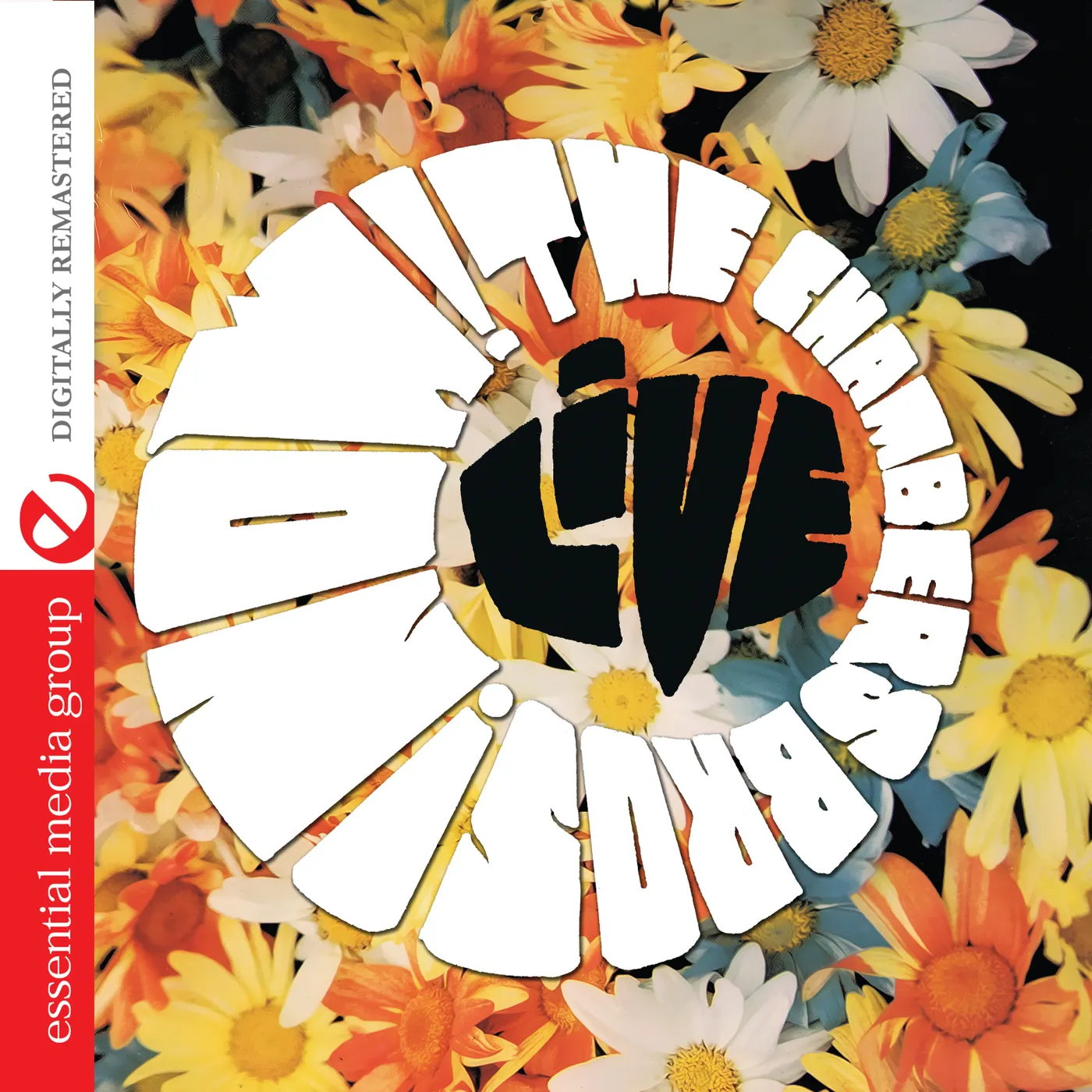 The Chambers Brothers NOW CD