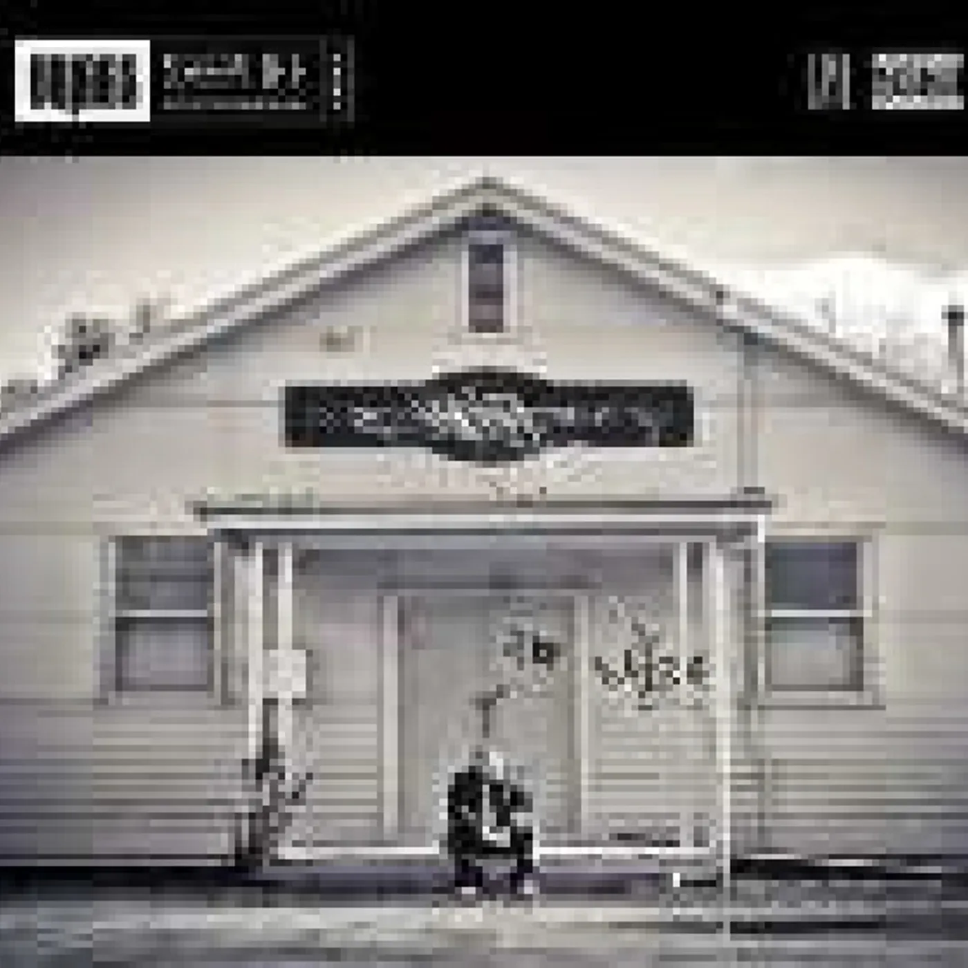 Briggs Sheplife Vinyl Record