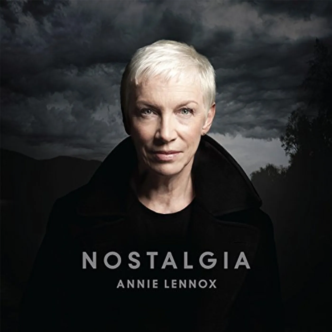 Annie Lennox Nostalgia Vinyl Record