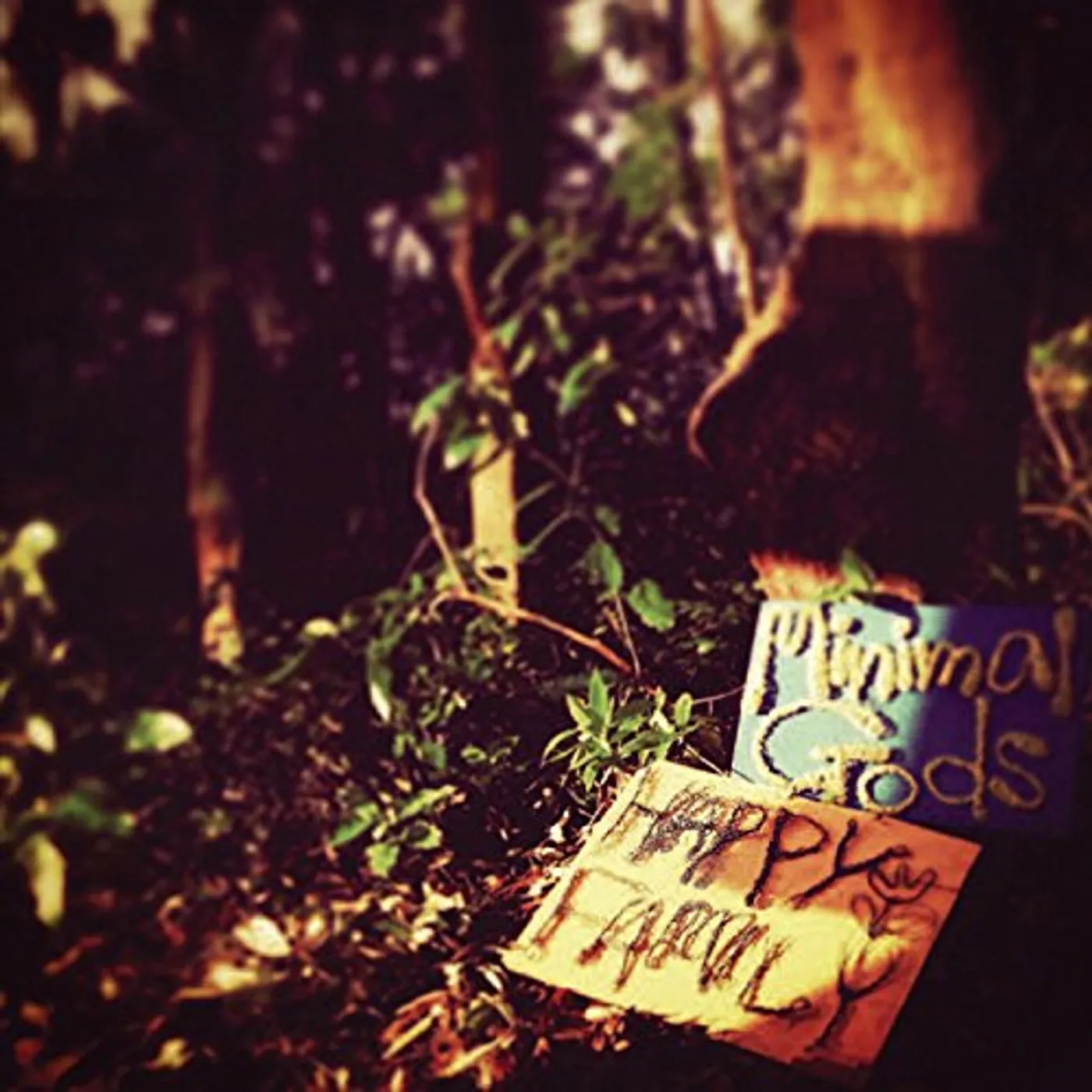 Happy Family MINIMAL GODS CD