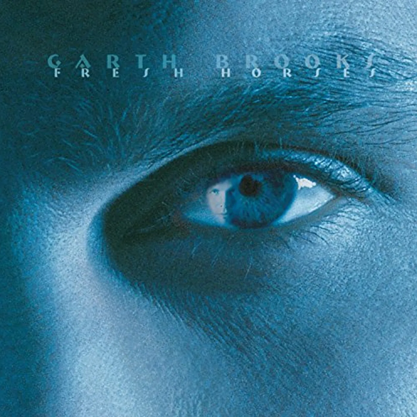 Garth Brooks FRESH HORSES CD