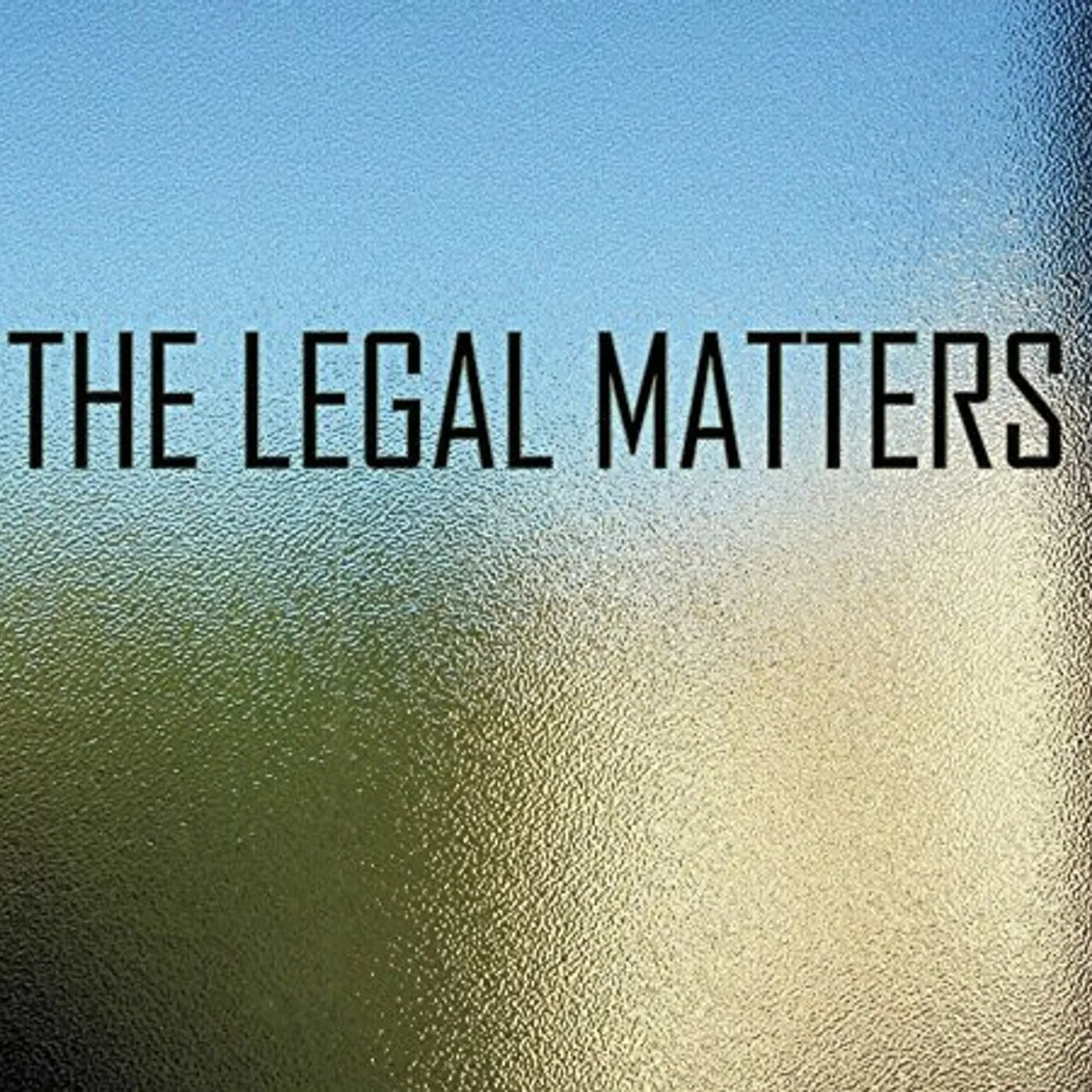 The Legal Matters Vinyl Record