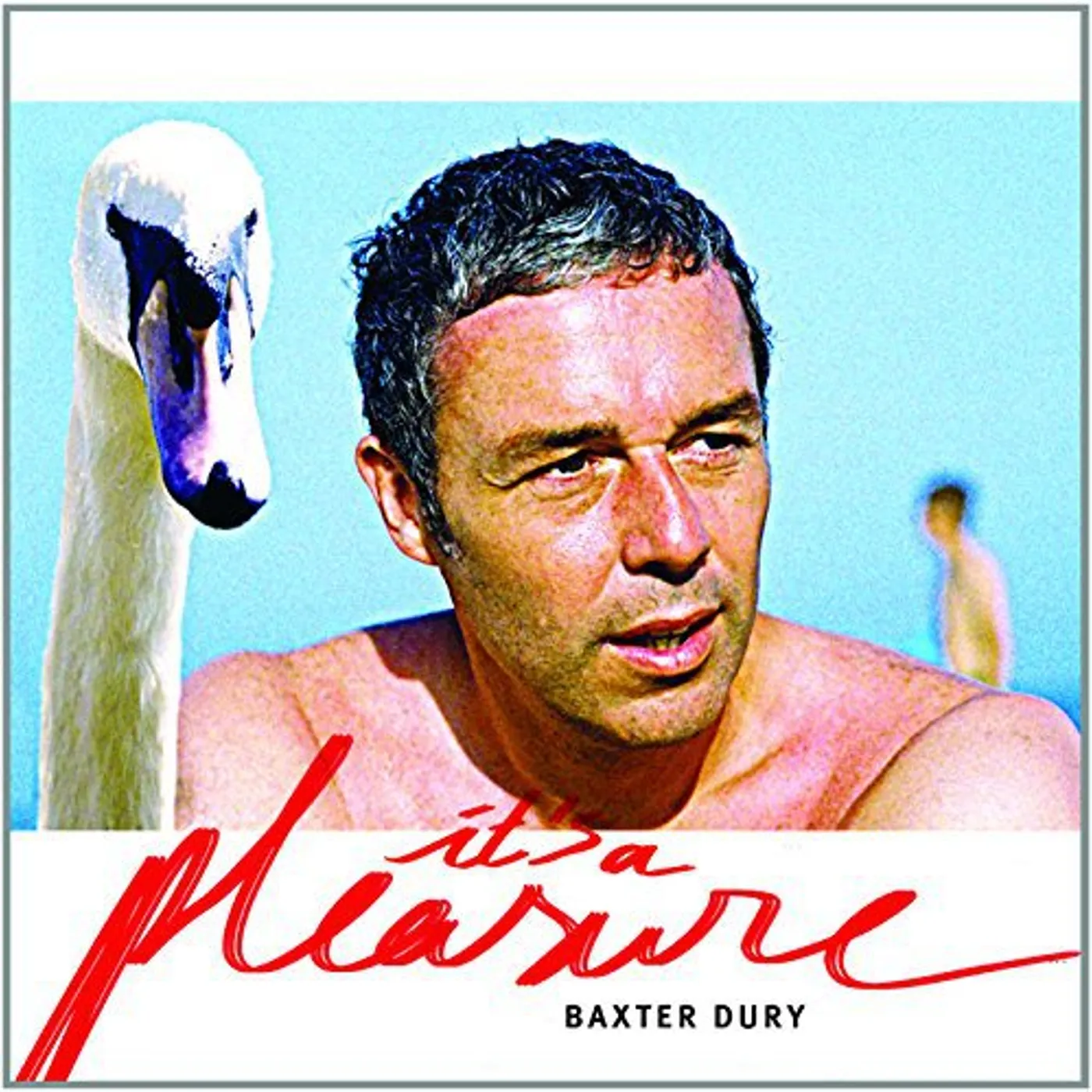 Baxter Dury IT'S A PLEASURE CD