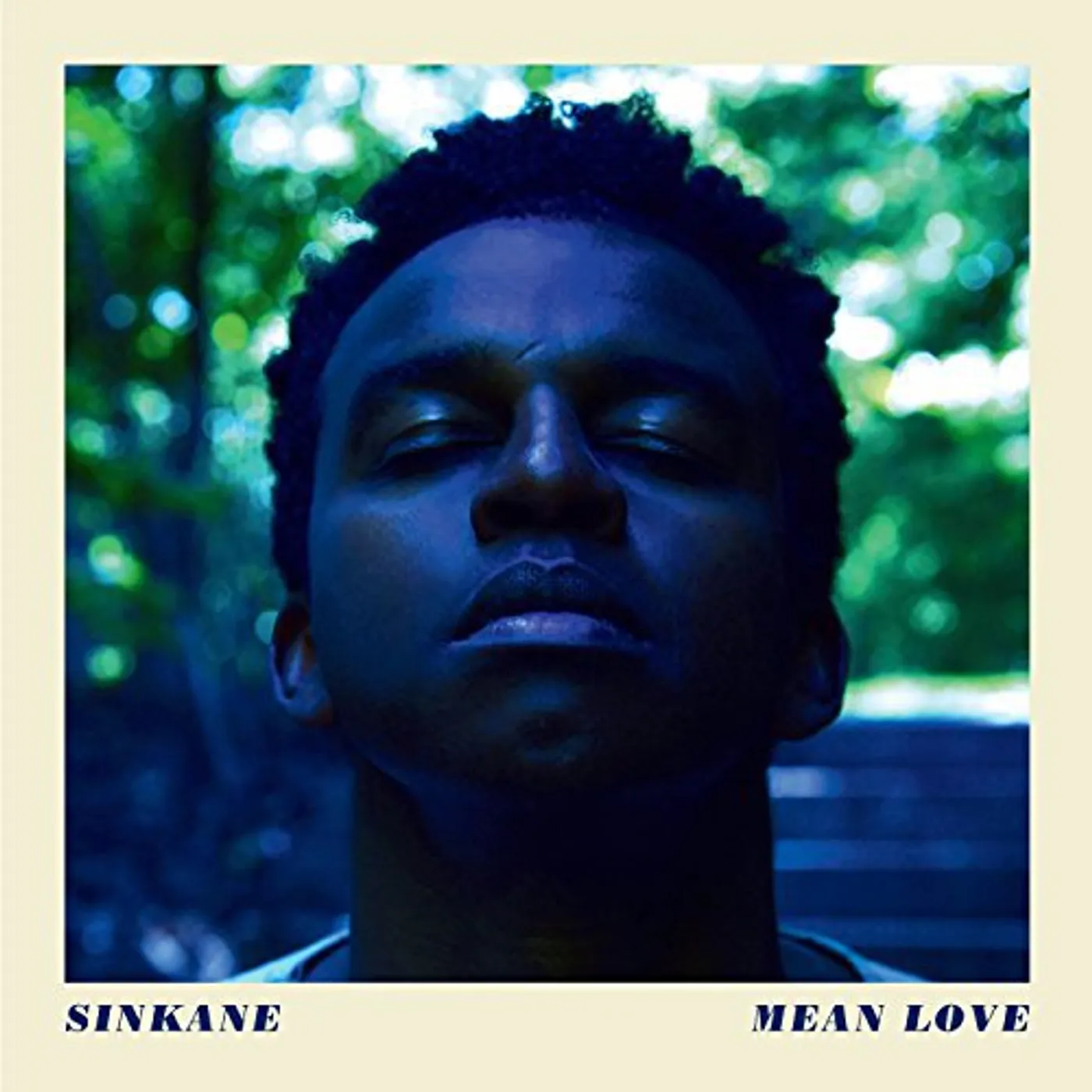 Sinkane Mean Love Vinyl Record