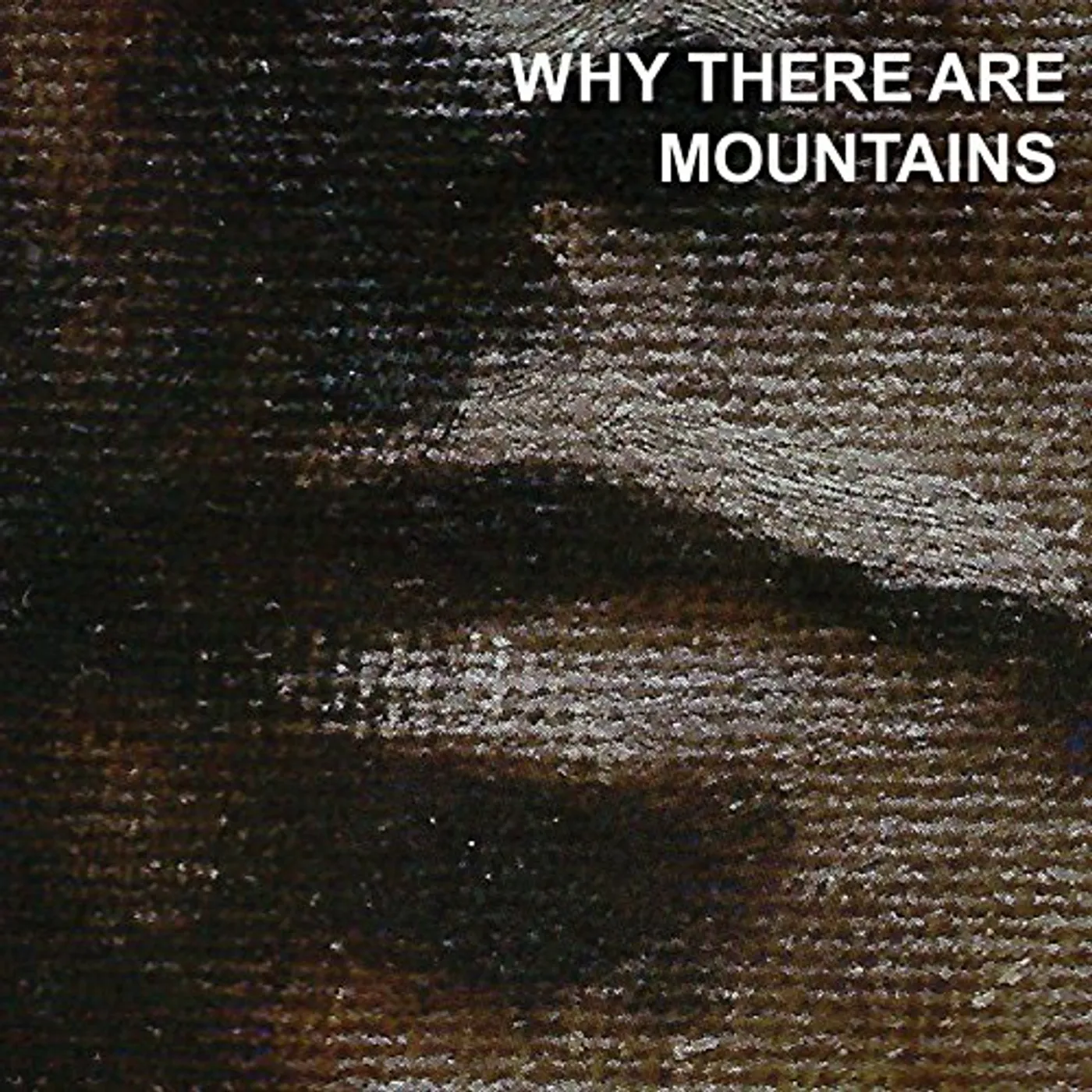 Cymbals Eat Guitars Why There Are Mountains Vinyl Record