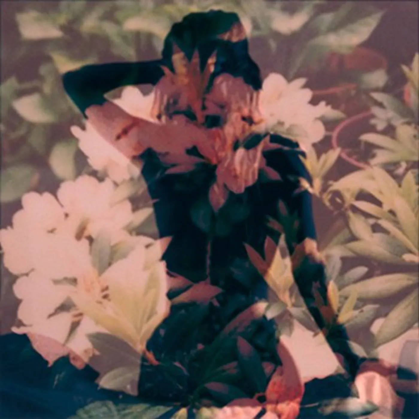 Modern Vices Vinyl Record