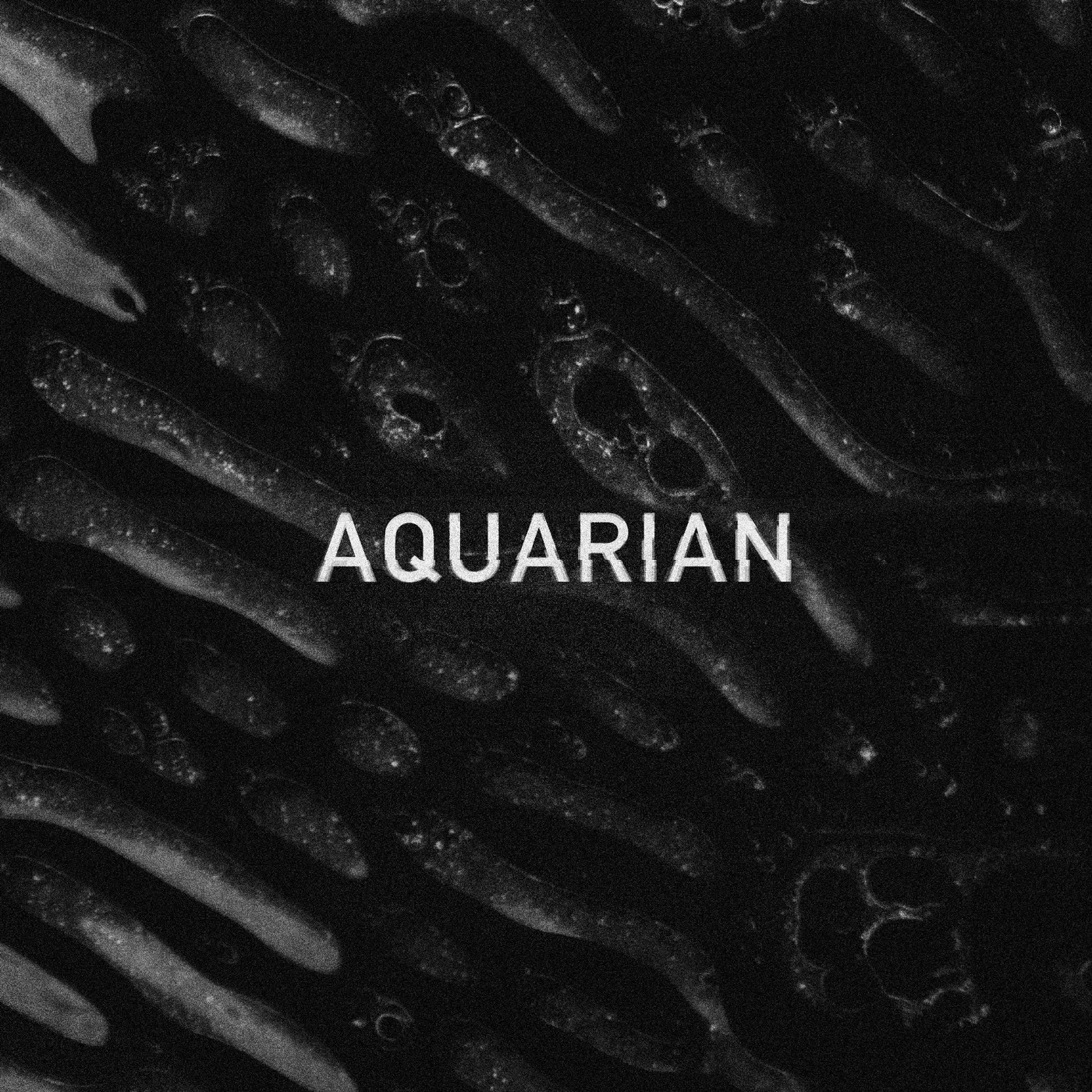 AQUARIAN Vinyl Record