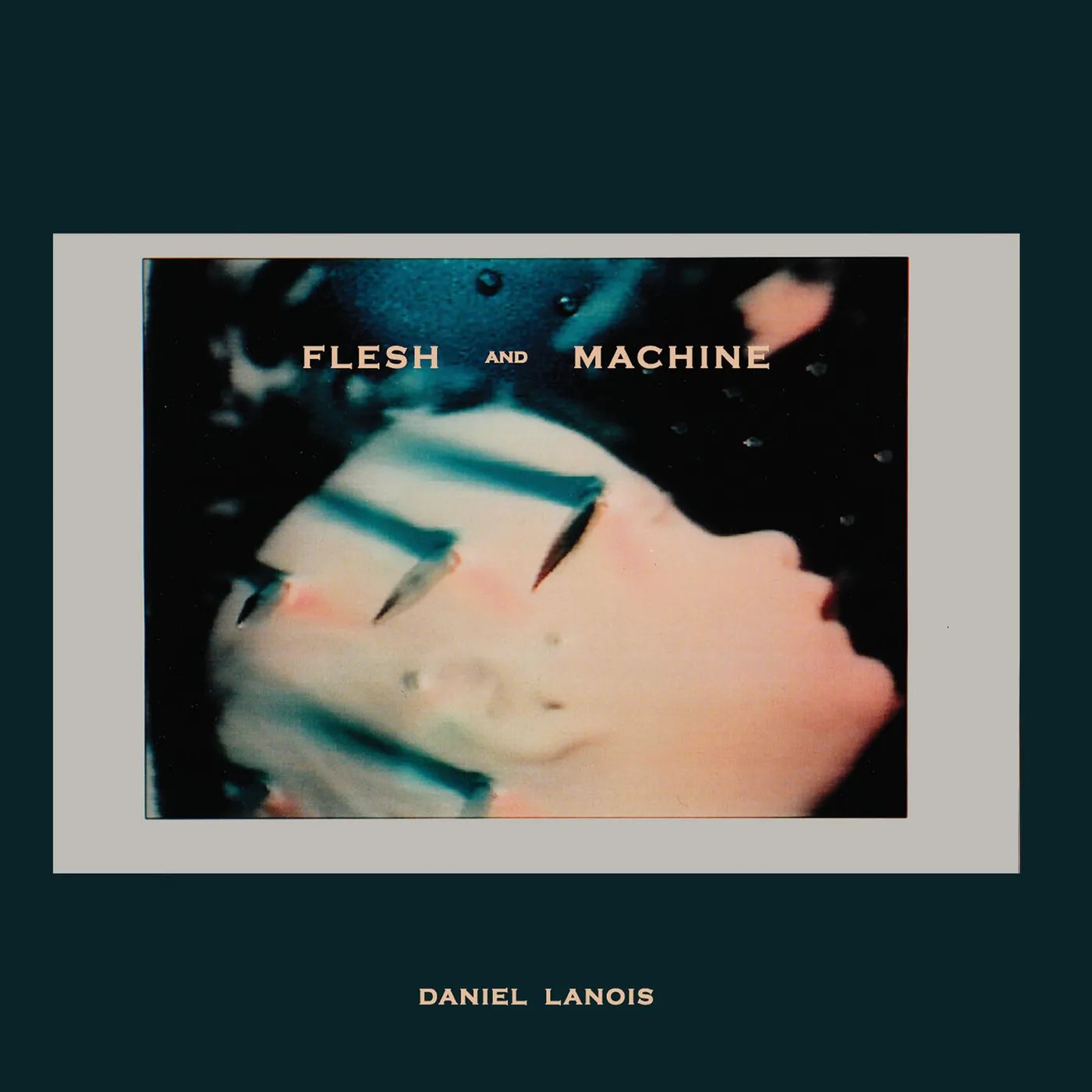 Daniel Lanois Flesh And Machine Vinyl Record