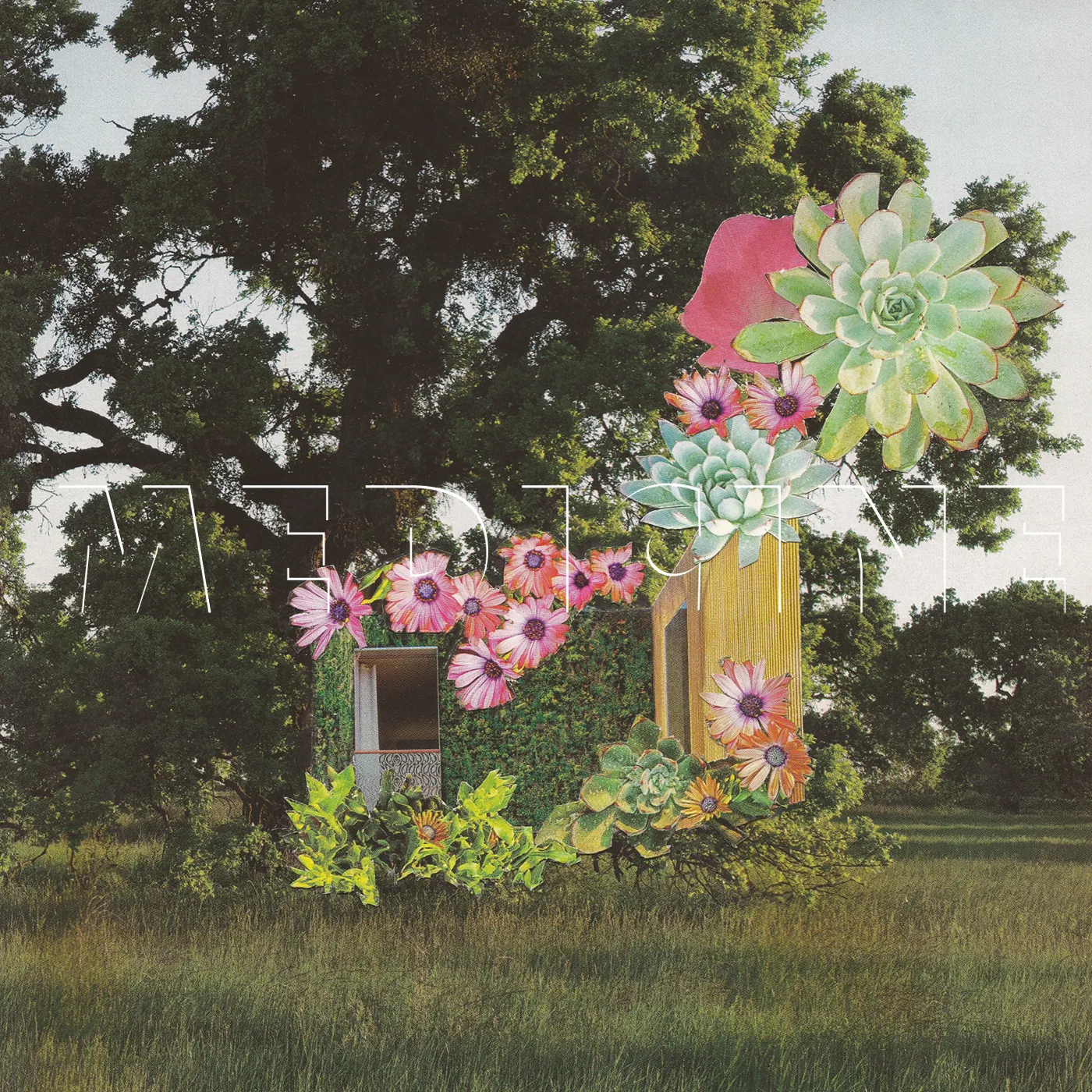 Medicine HOME EVERYWHERE CD