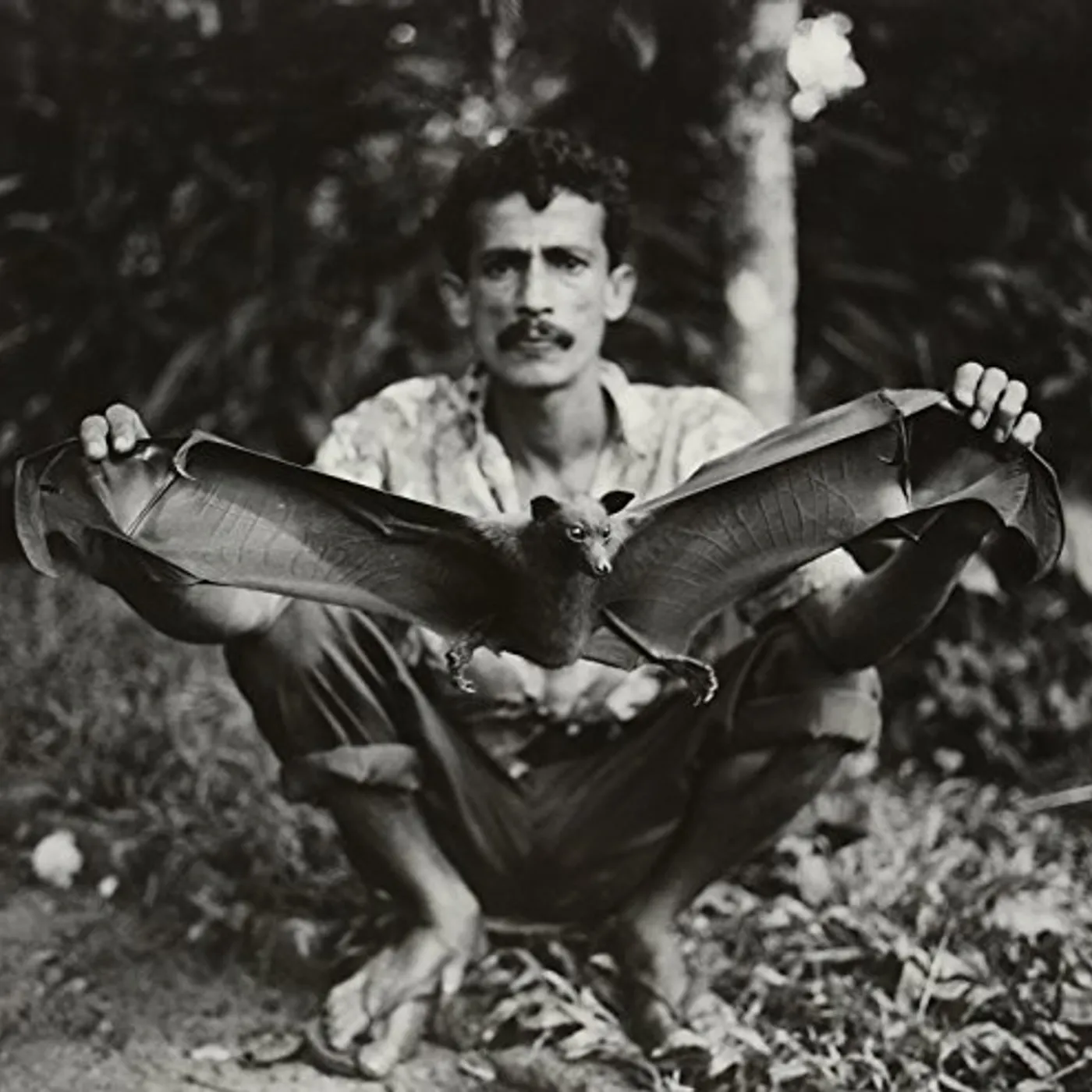 Norberto Lobo FORNALHA (WSV) Vinyl Record