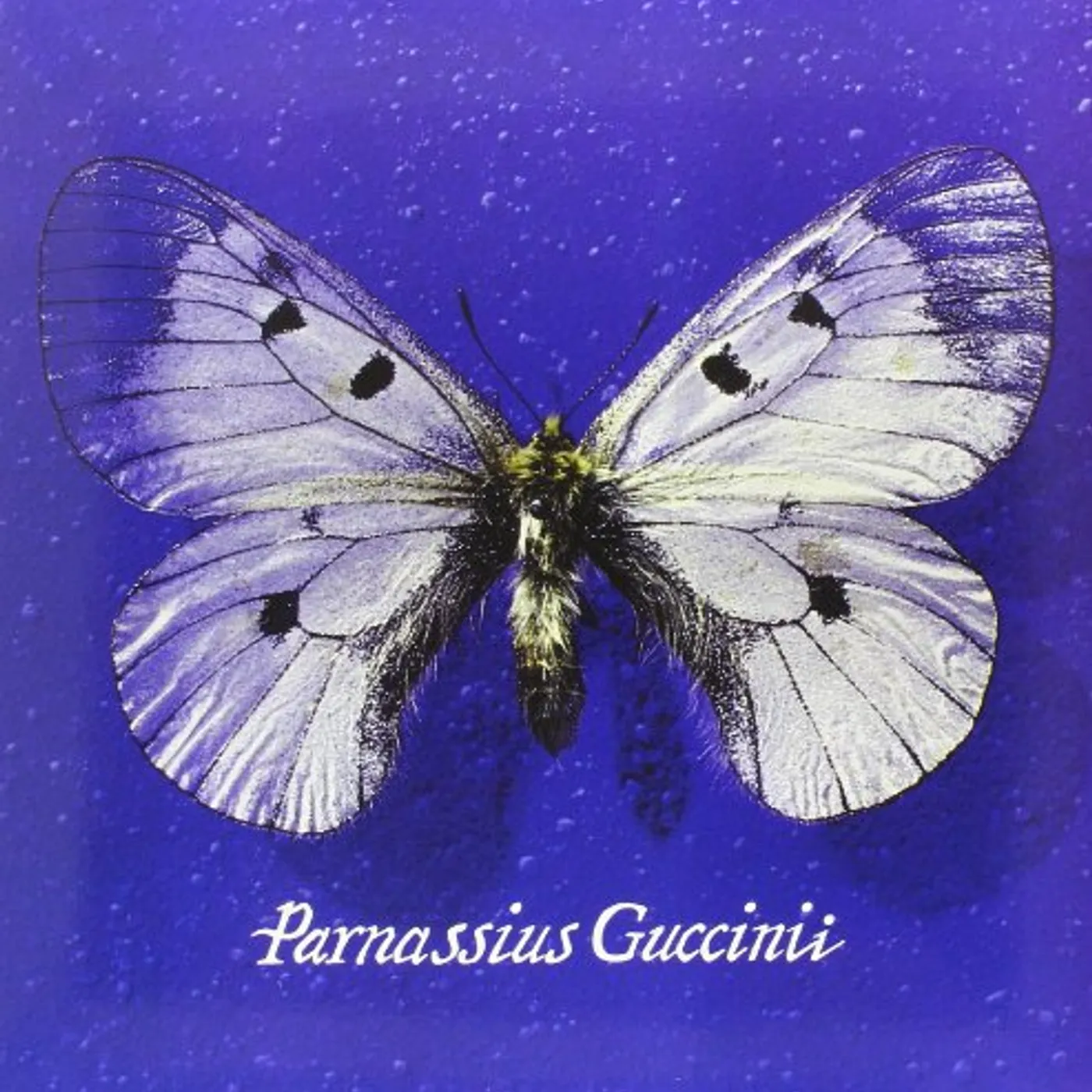 Francesco Guccini Parnassius Guccinii Vinyl Record