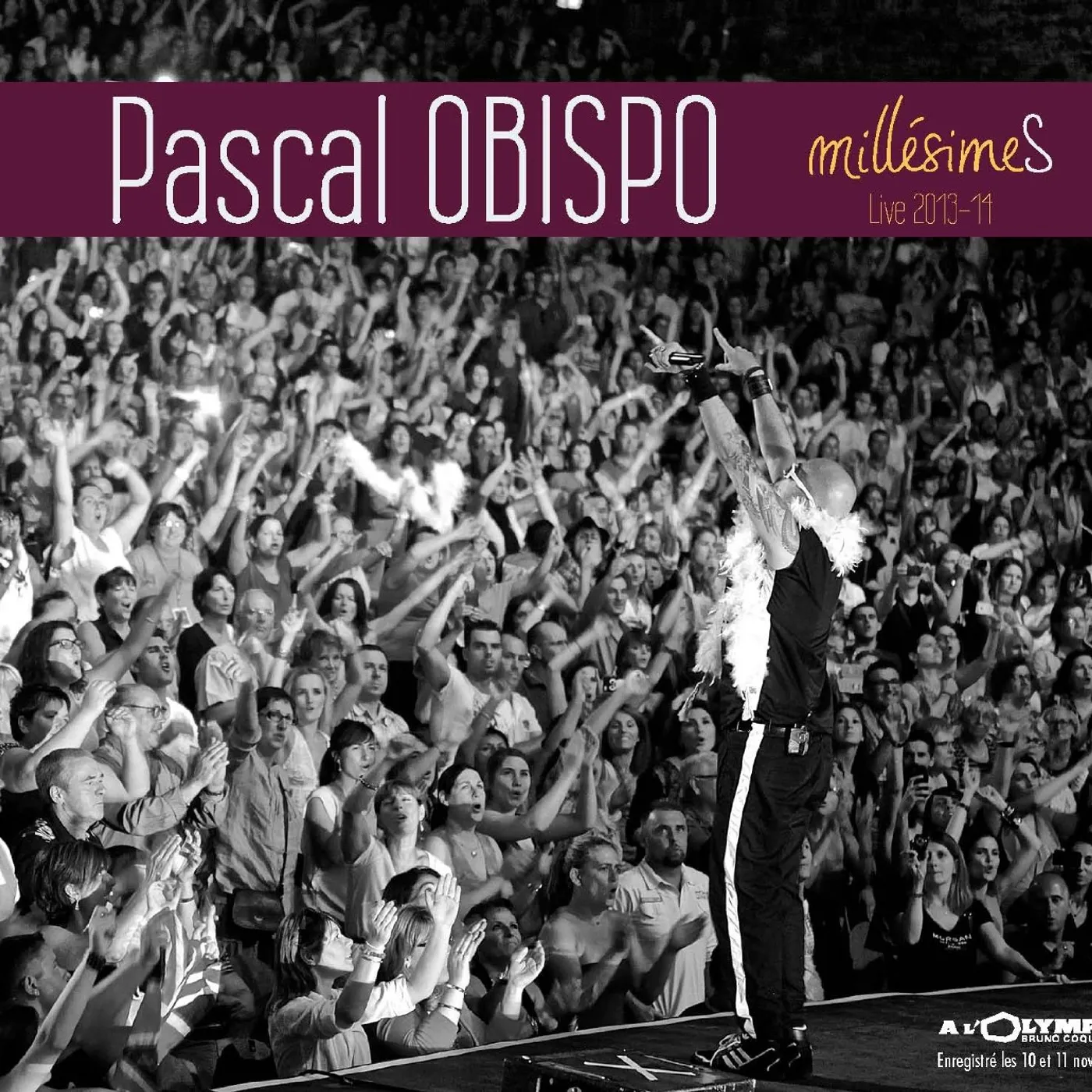 Pascal Obispo LIVE 2014 CD