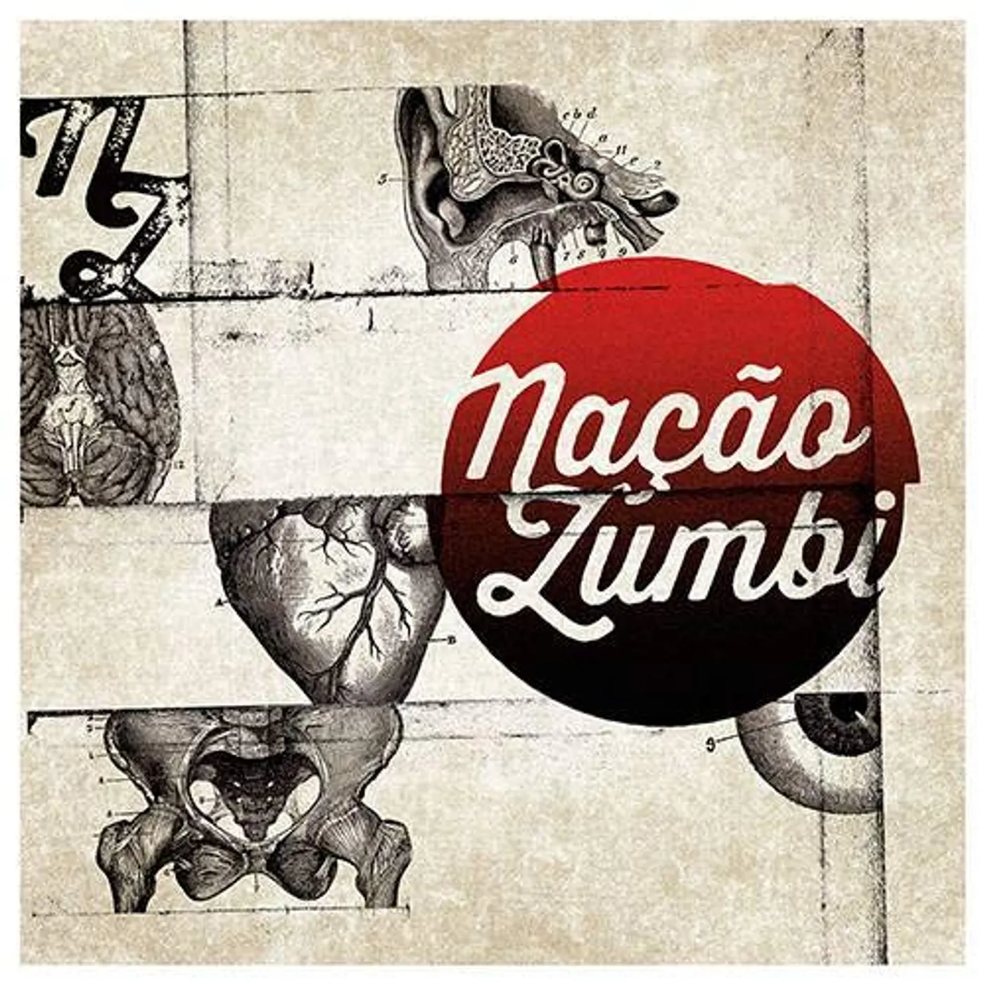 NACAO ZUMBI Vinyl Record