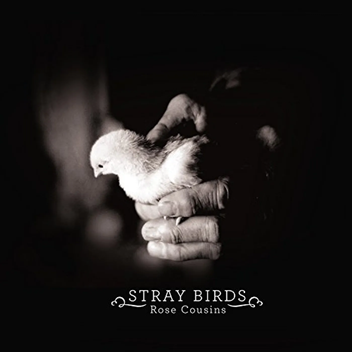 Rose Cousins STRAY BIRDS CD