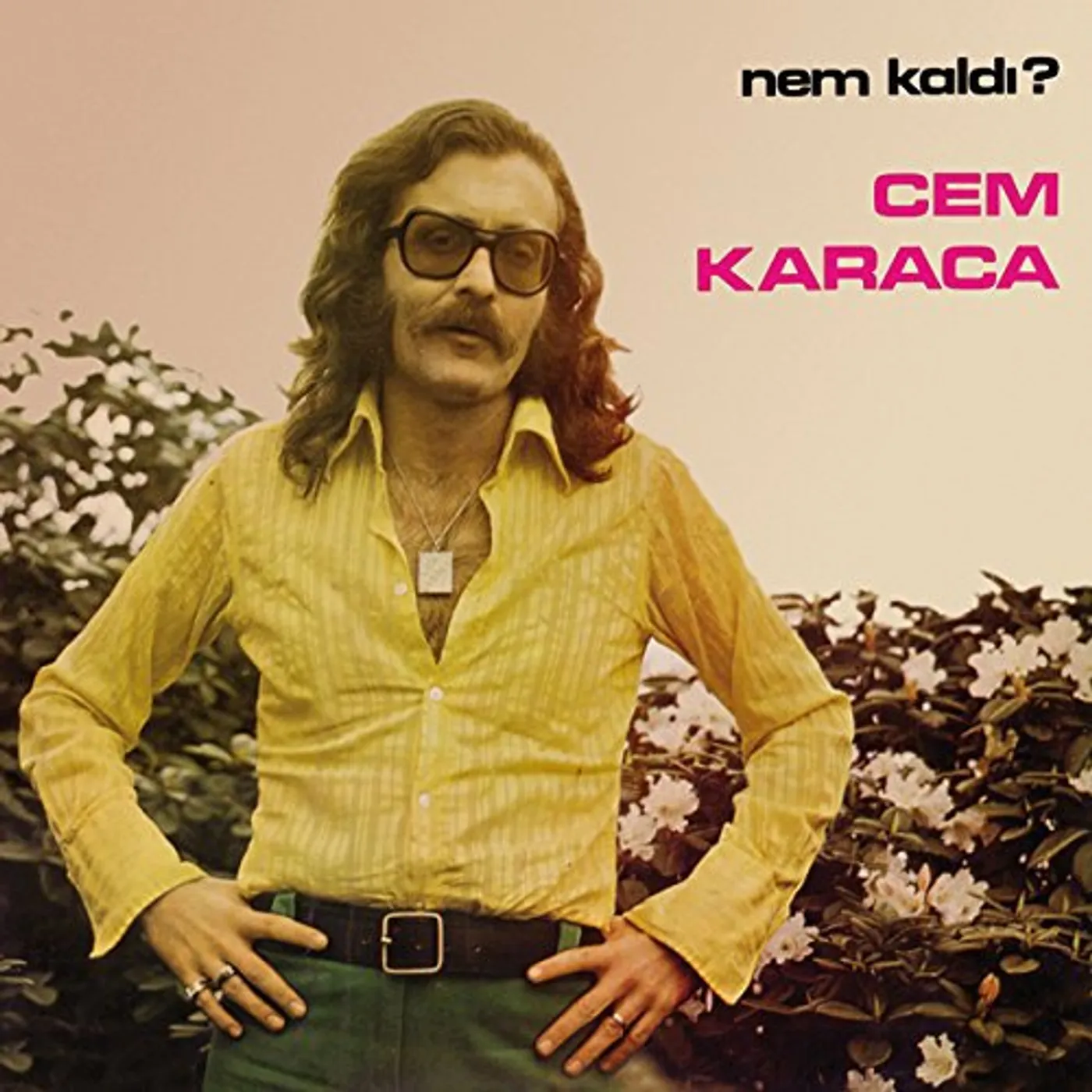 Cem Karaca NEM KALDI Vinyl Record