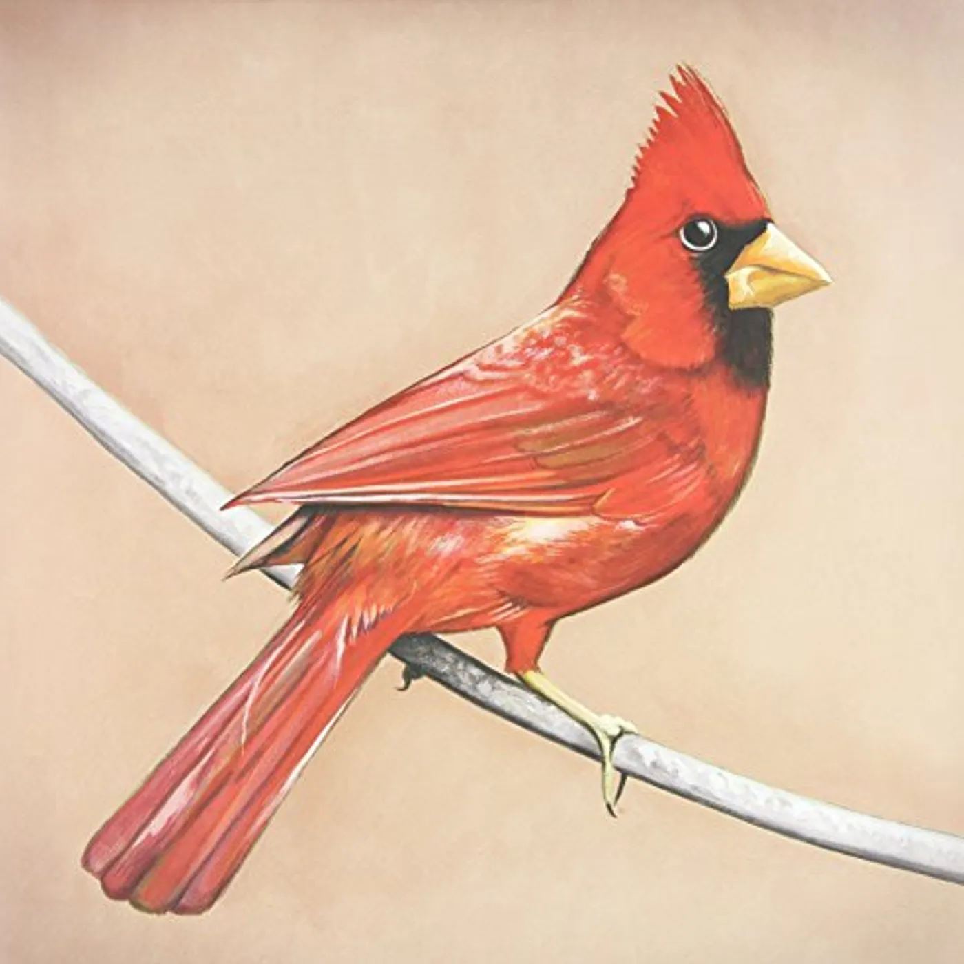 Alexisonfire Old Crows / Young Cardinals Vinyl Record