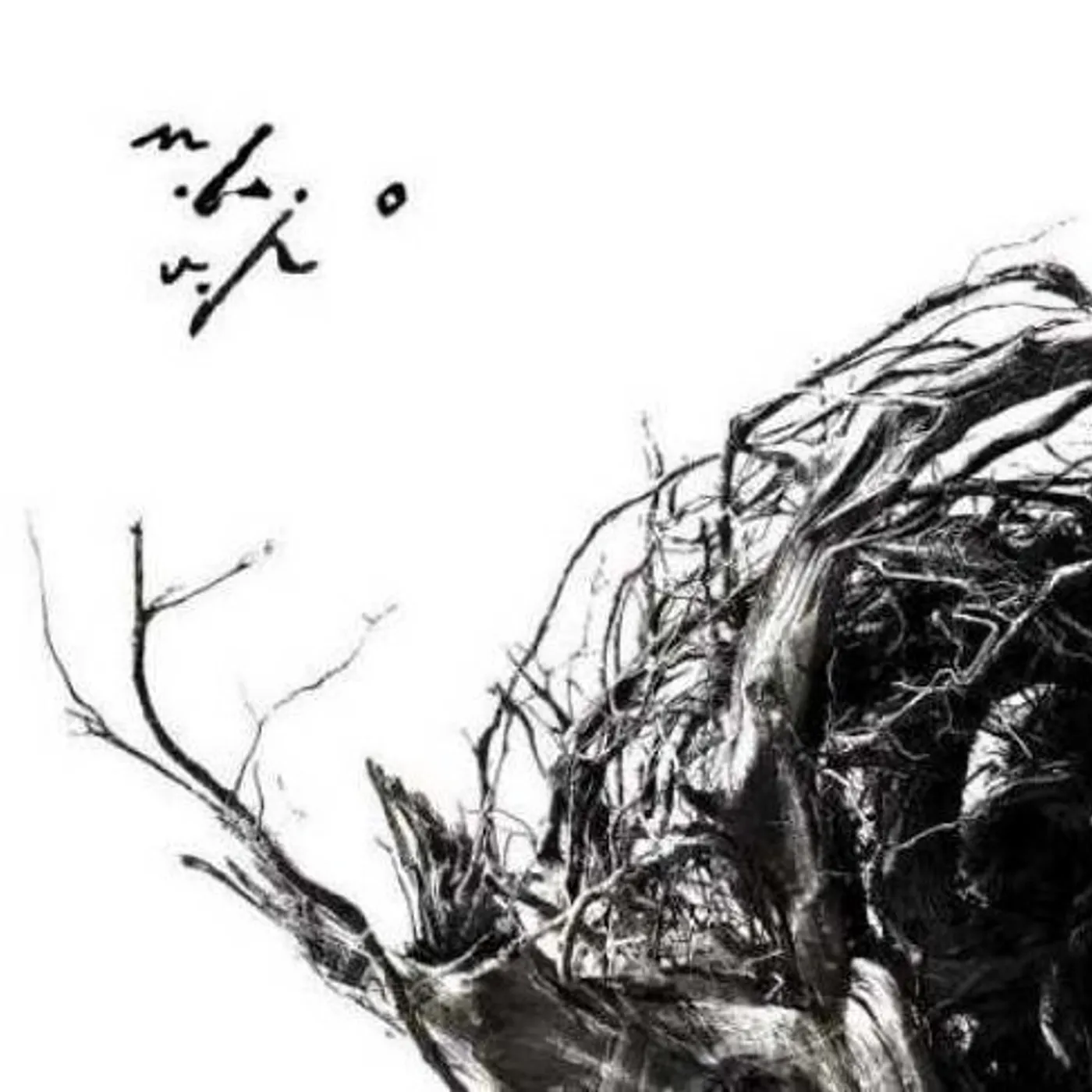 Negură Bunget VIRSTELE PAMINTULUI Vinyl Record