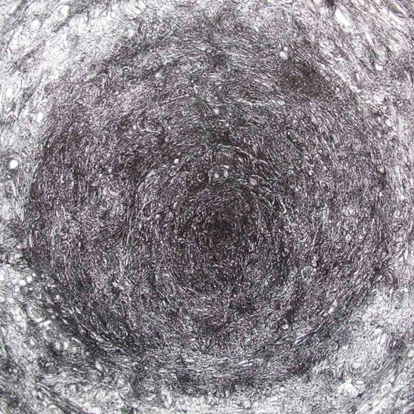 Kevin Drumm BACK ROOM Vinyl Record