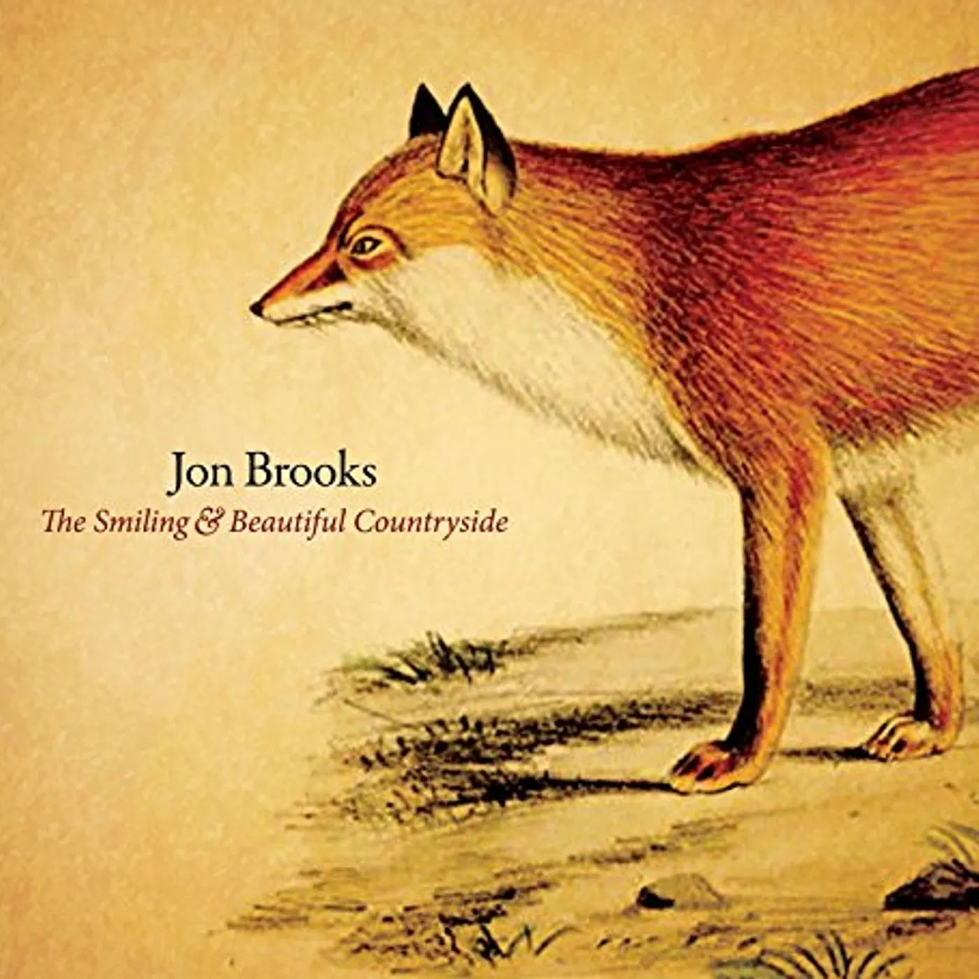 Jon Brooks SMILING & BEAUTIFUL COUNTRYSIDE CD