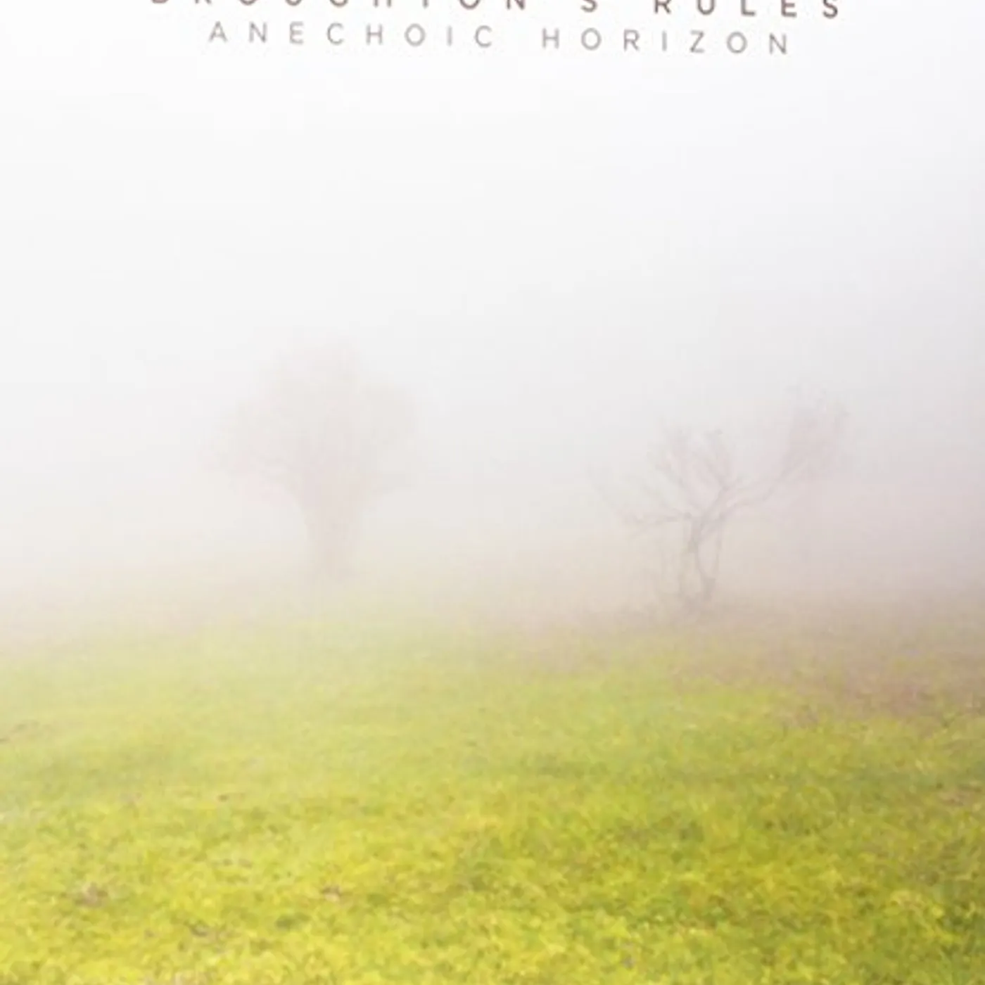 Broughton's Rules Anechoic Horizon Vinyl Record