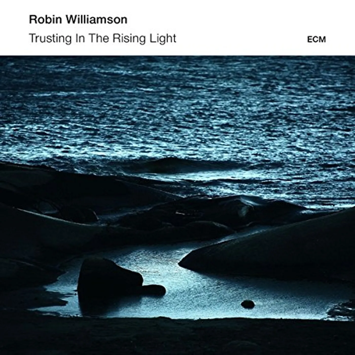 Robin Williamson TRUSTING IN THE RISING LIGHT CD