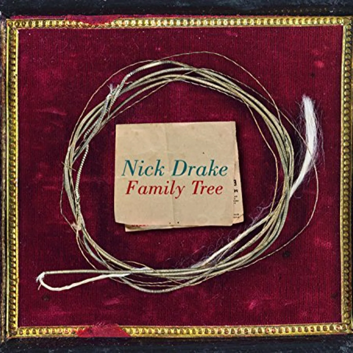 Nick Drake Family Tree Vinyl Record