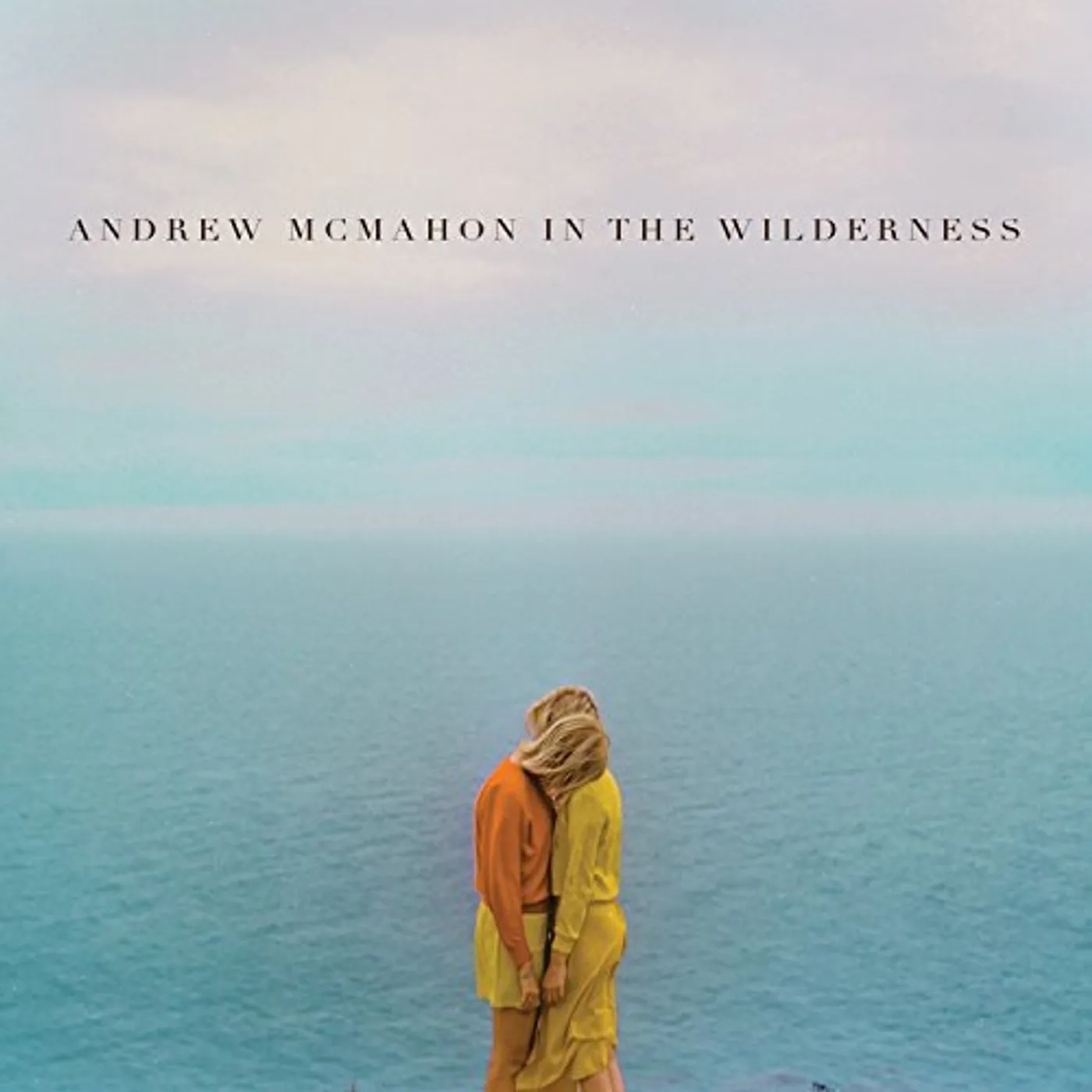 Andrew McMahon In The Wilderness Vinyl Record