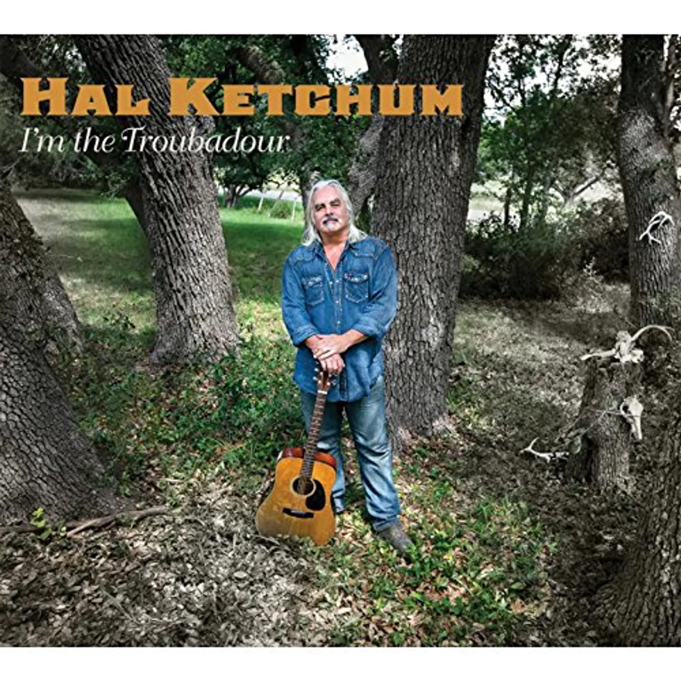 Hal Ketchum I'M THE TROUBADOUR CD