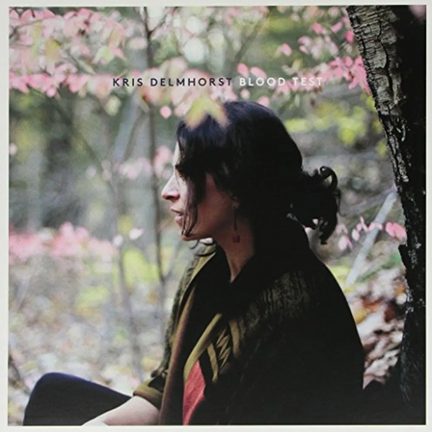 Kris Delmhorst Blood Test Vinyl Record