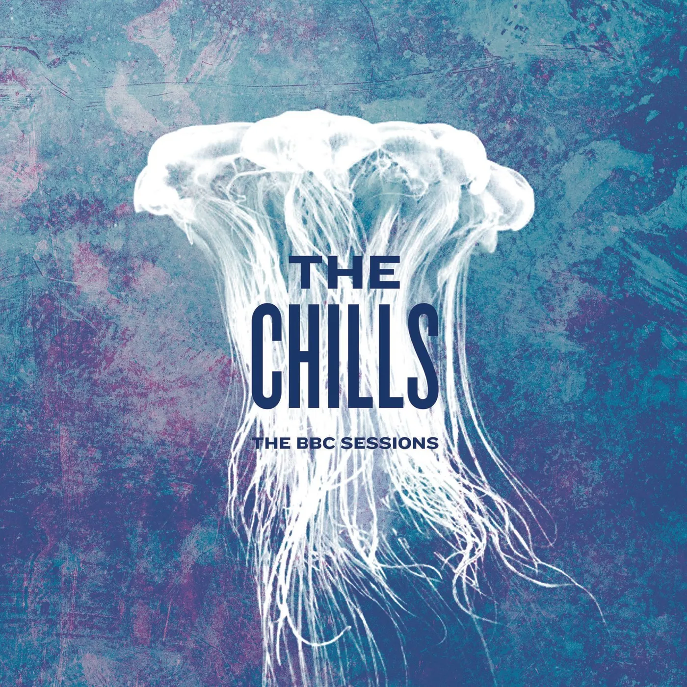 The Chills BBC SESSIONS CD
