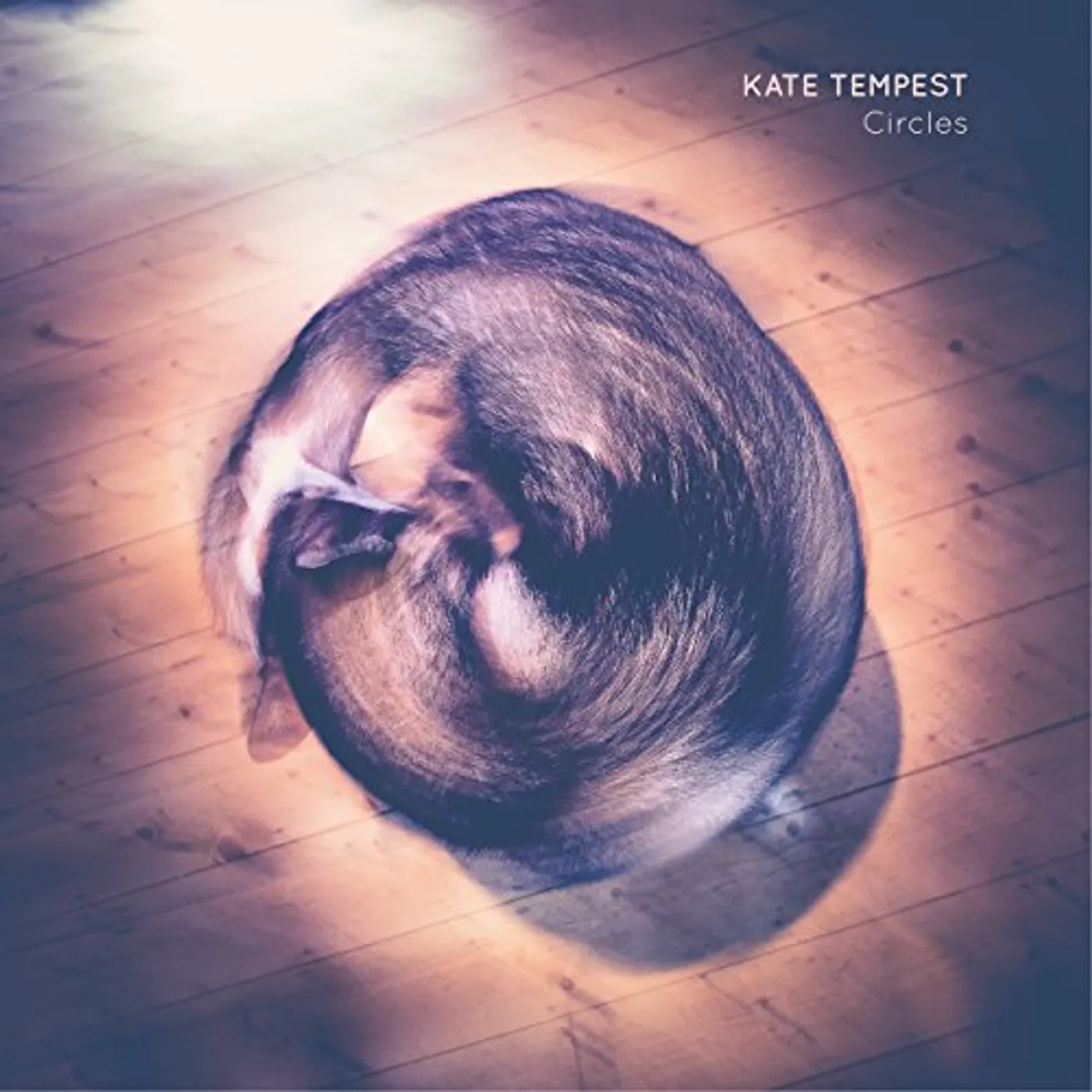 Kate Tempest Circles Vinyl Record