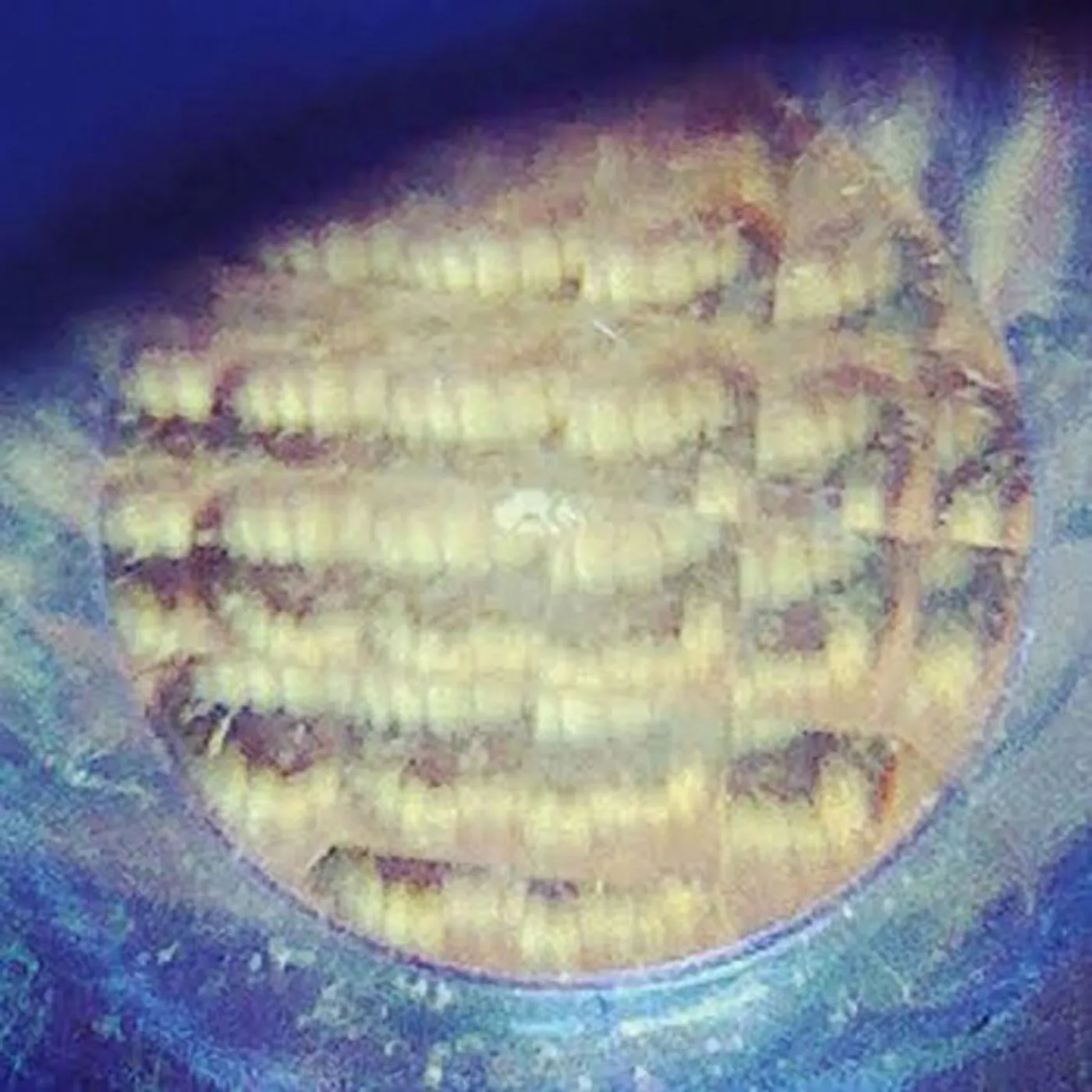 Nick Hakim WHERE WILL WE GO PT 1 & 2 Vinyl Record - UK Release