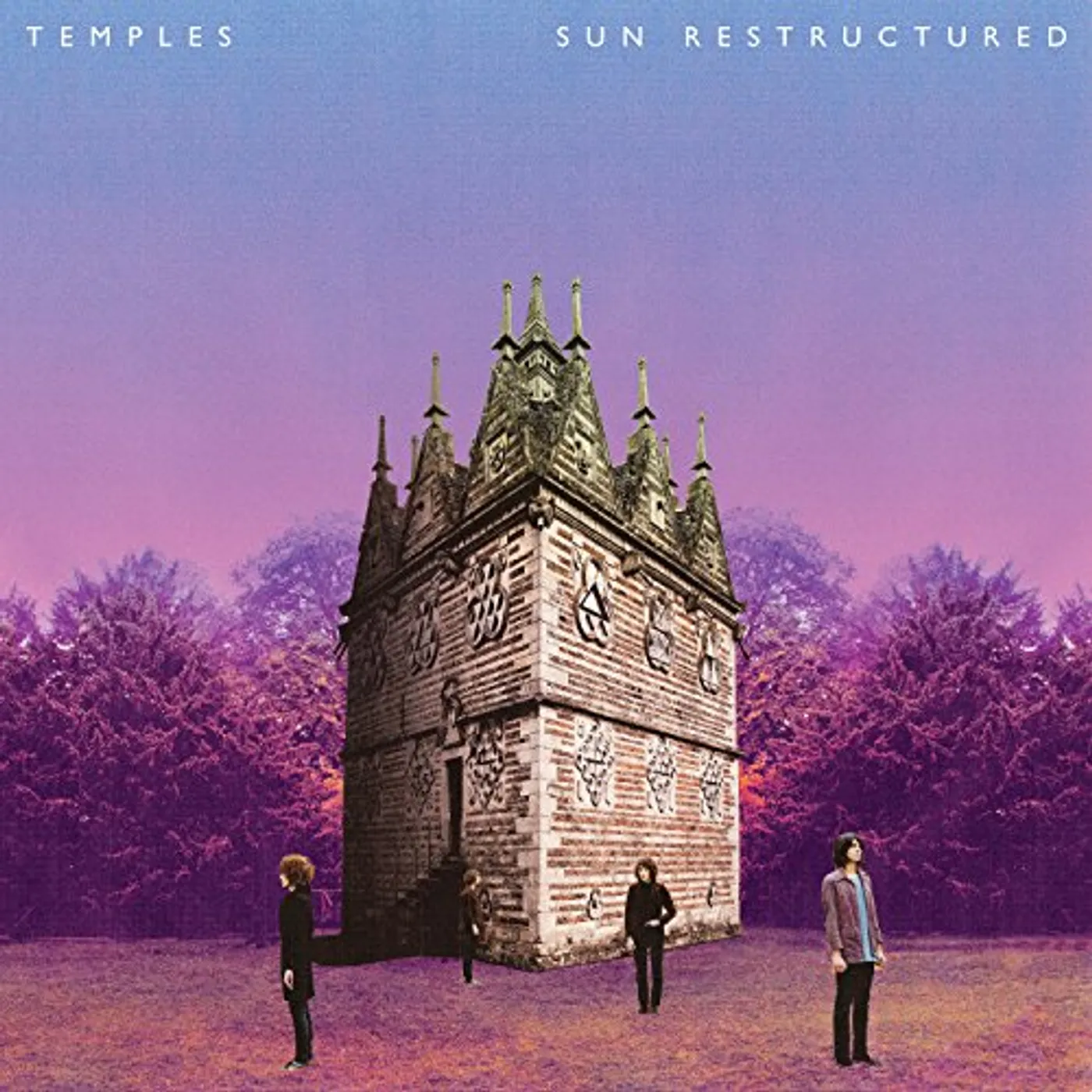 Temples SUN RESTRUCTURED (UK) (Vinyl)
