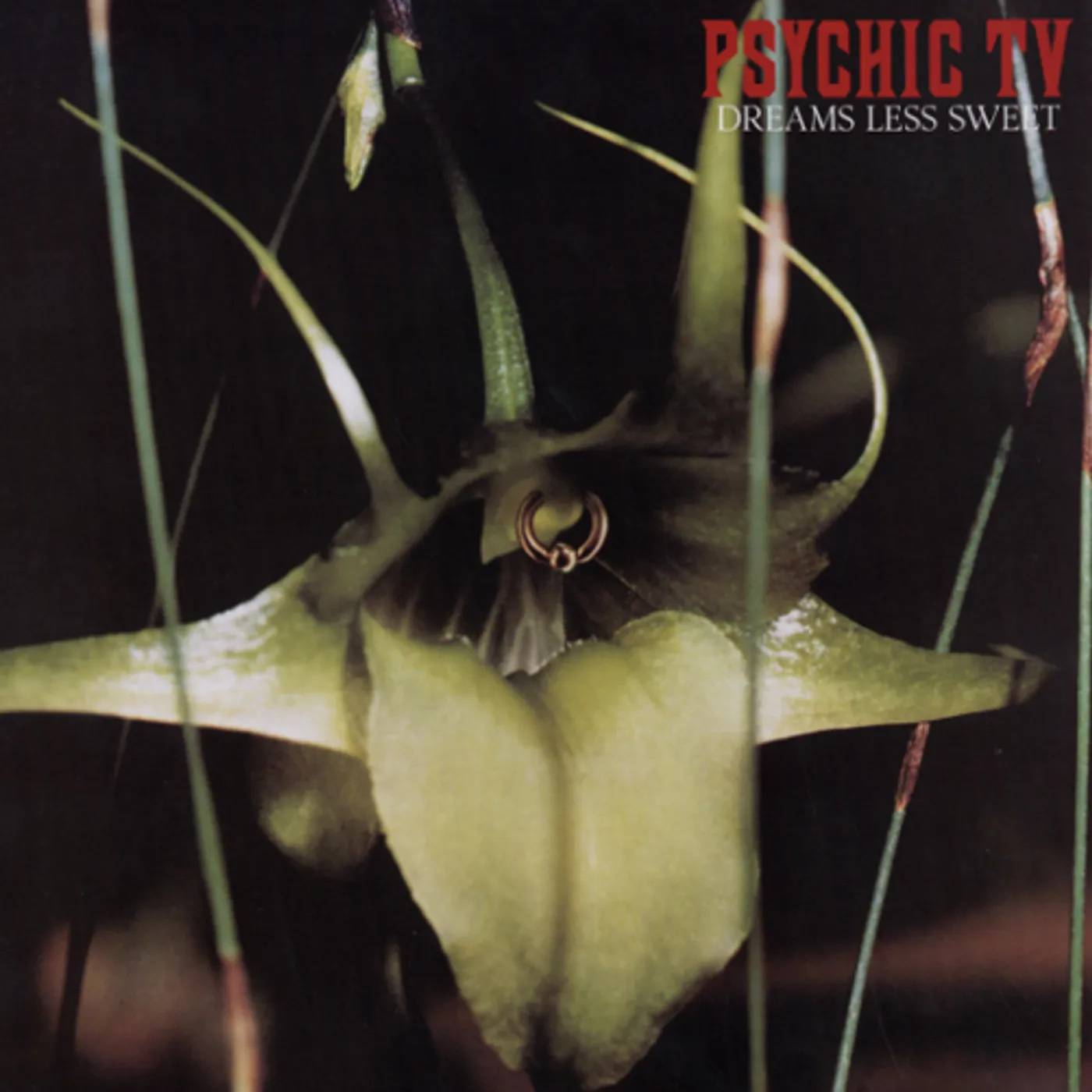 Psychic TV Dreams Less Sweet Vinyl Record
