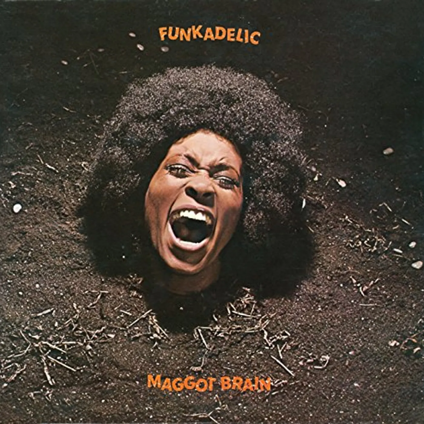 Funkadelic Maggot Brain Vinyl Record