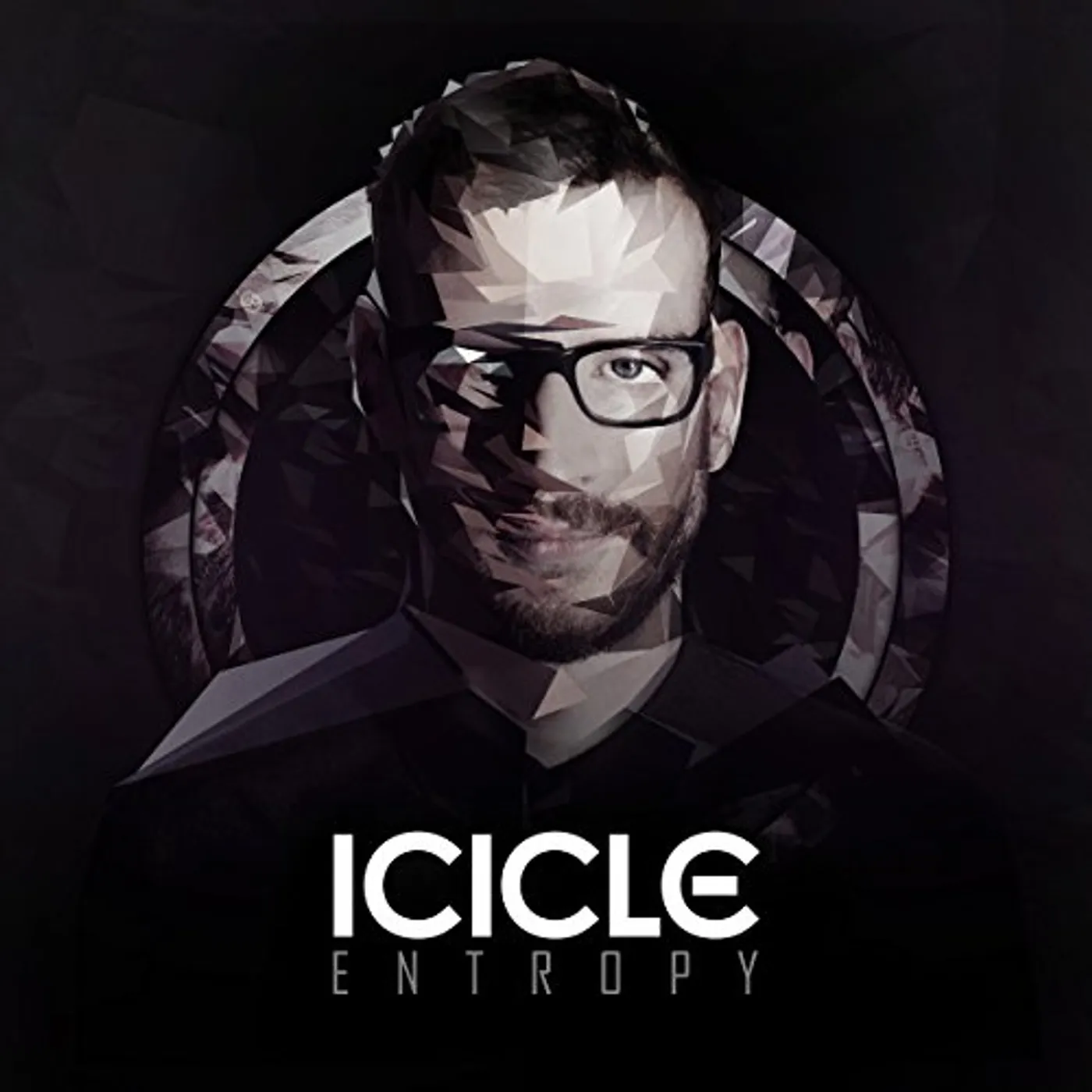 Icicle Entropy Vinyl Record