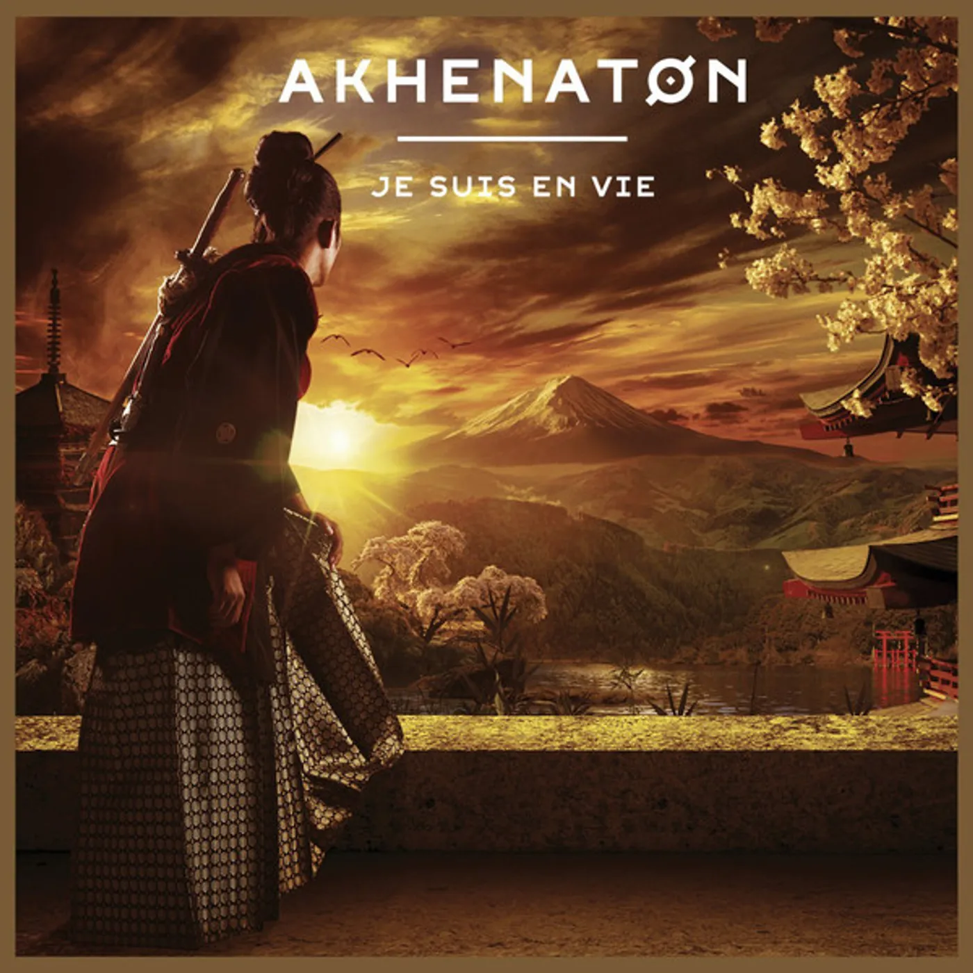 Akhenaton JE SUIS EN VIE (FRA) (Vinyl)