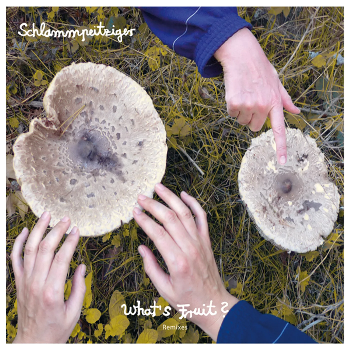 Schlammpeitziger WHATS FRUIT REMIXES Vinyl Record