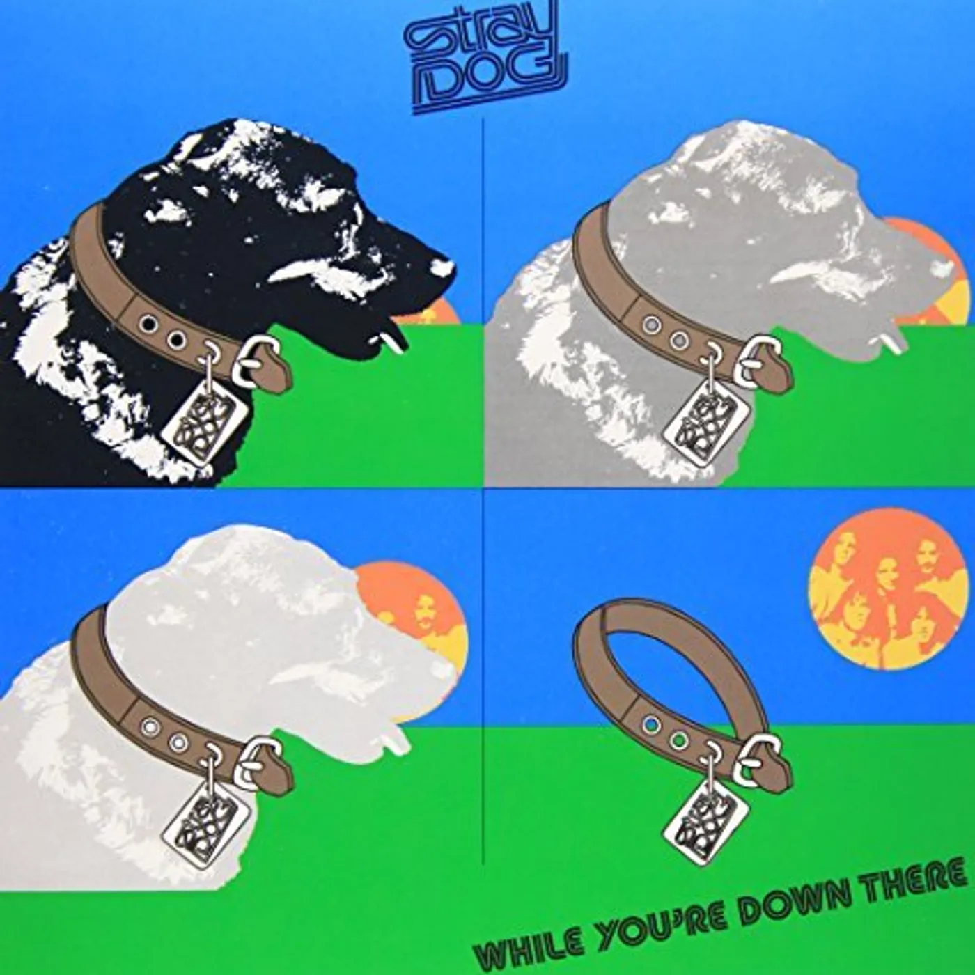 Stray Dog WHILE YOU'RE DOWN THERE: LIMITED CD