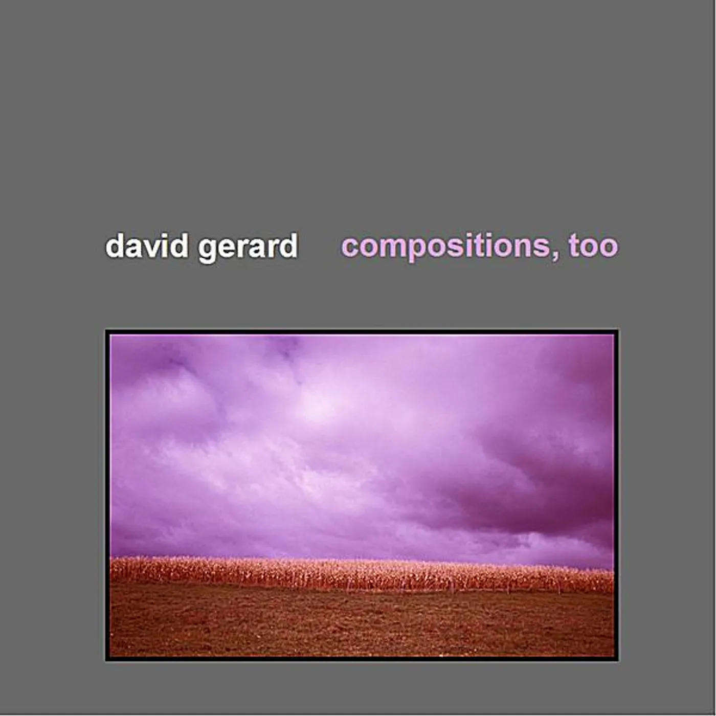 David Gerard COMPOSITIONS TOO CD