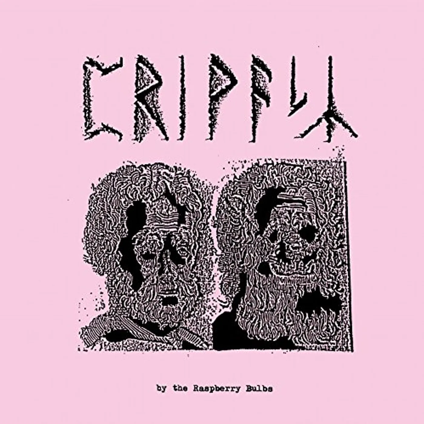 Raspberry Bulbs Privacy Vinyl Record