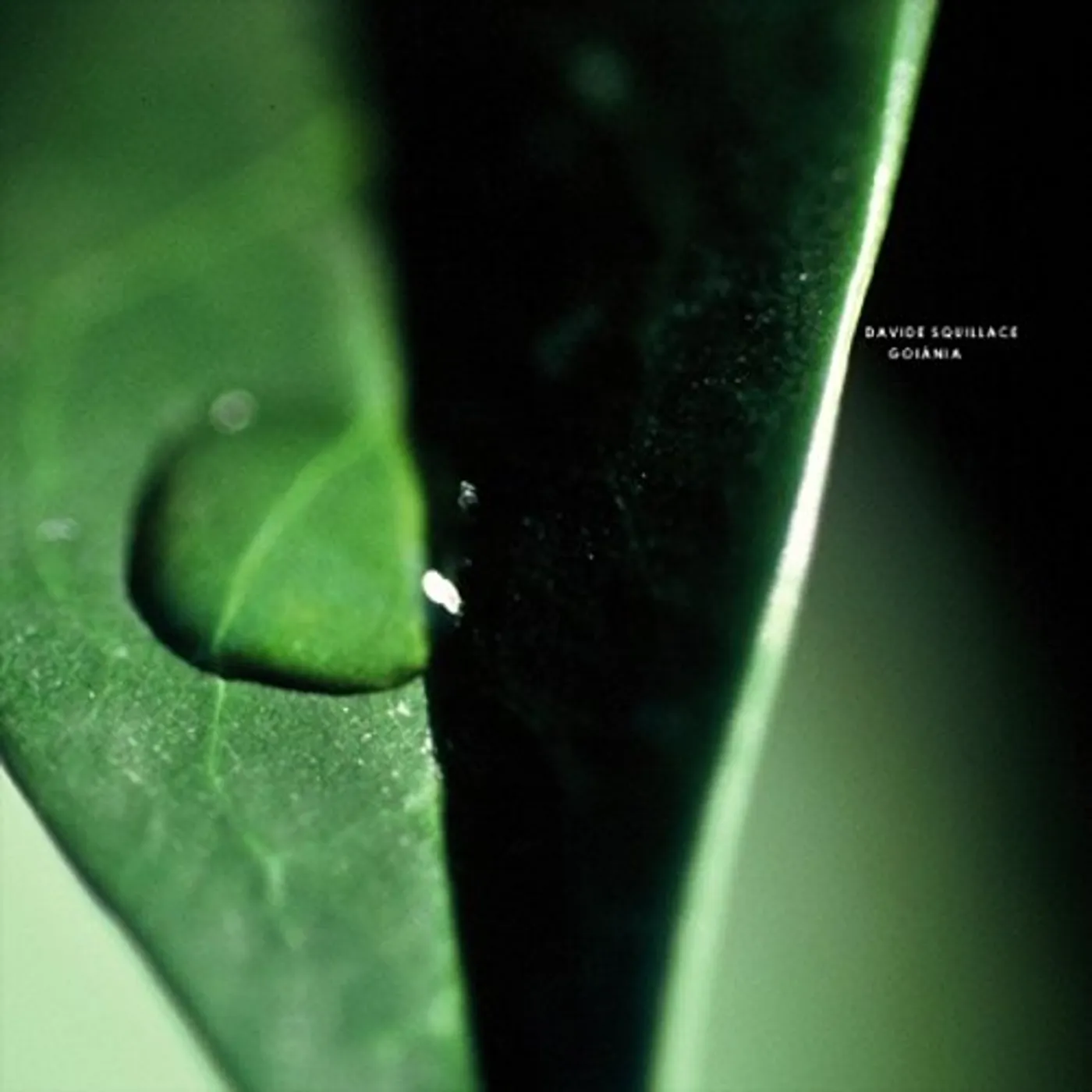 Davide Squillace GOIANIA Vinyl Record