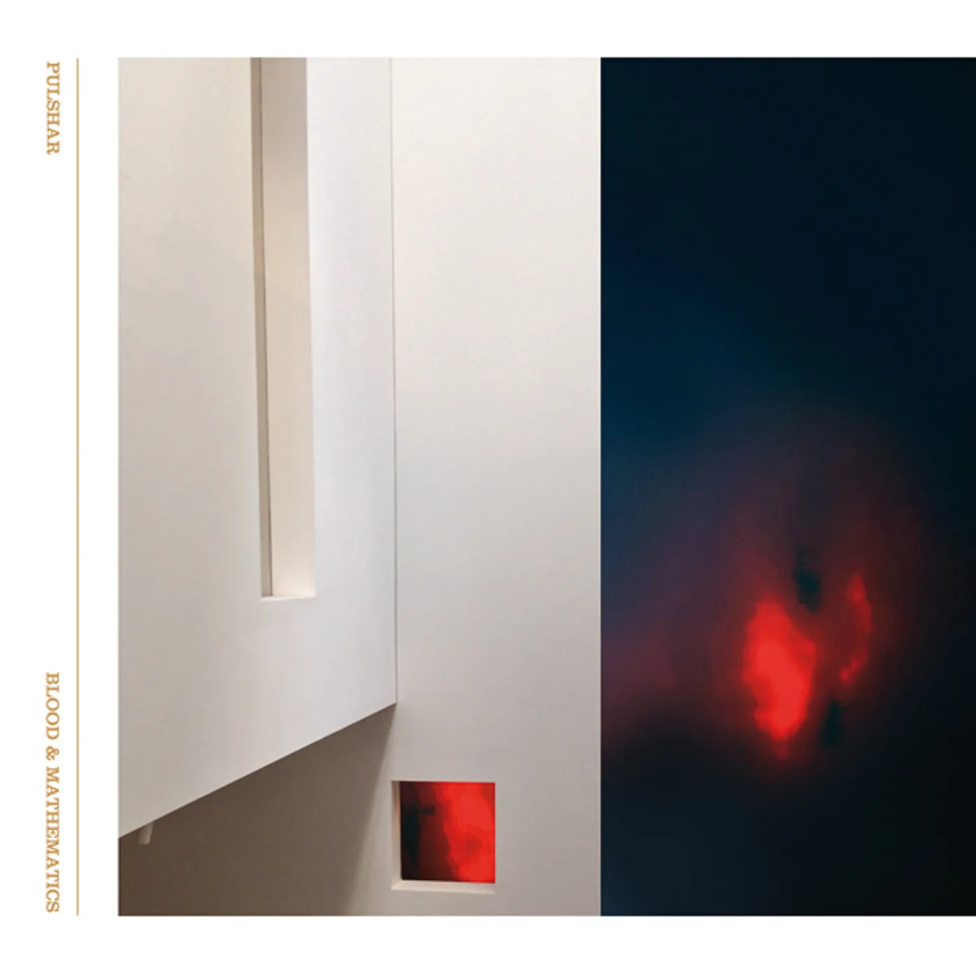 Pulshar Blood & Mathematics Vinyl Record