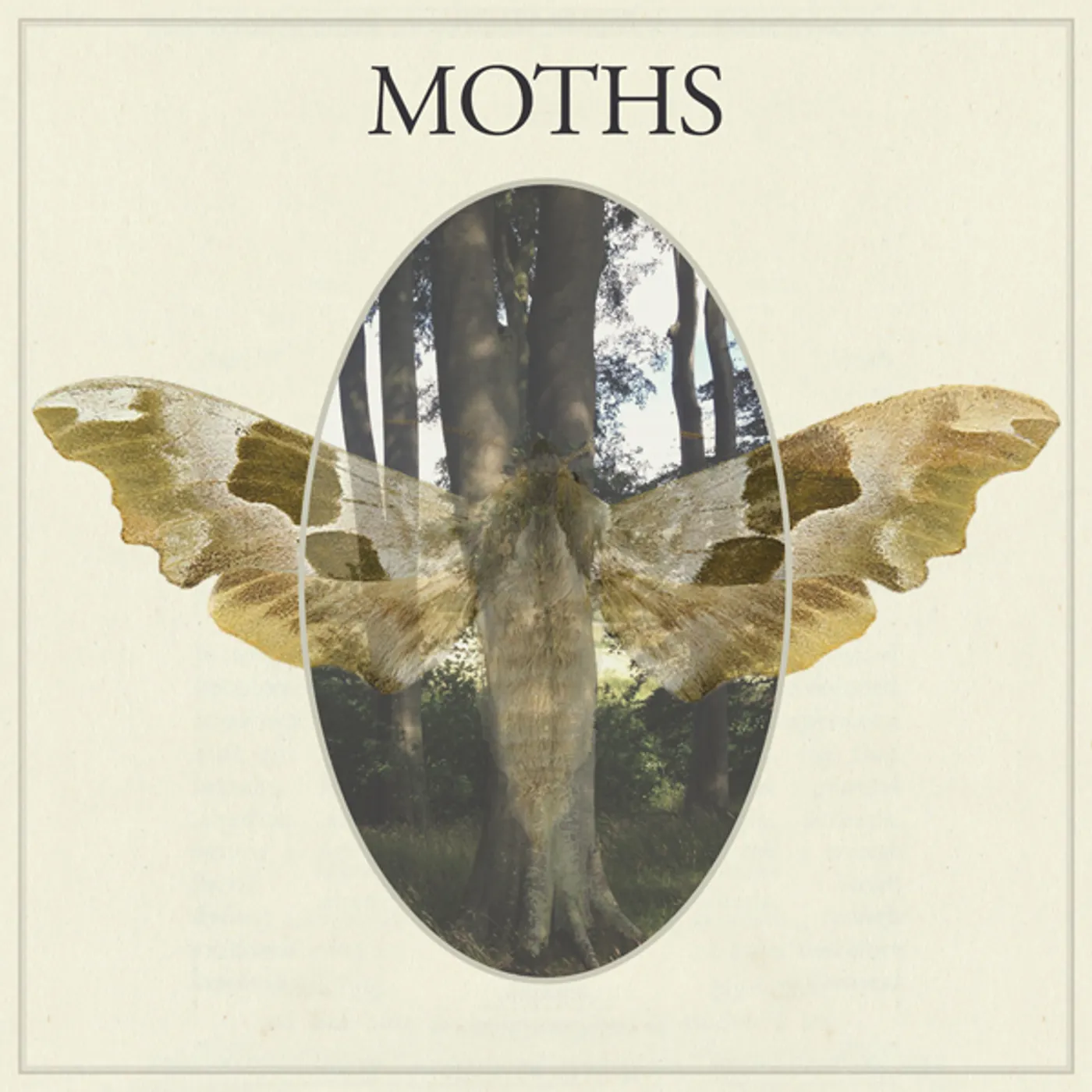 Moths & Locusts Moths Vinyl Record